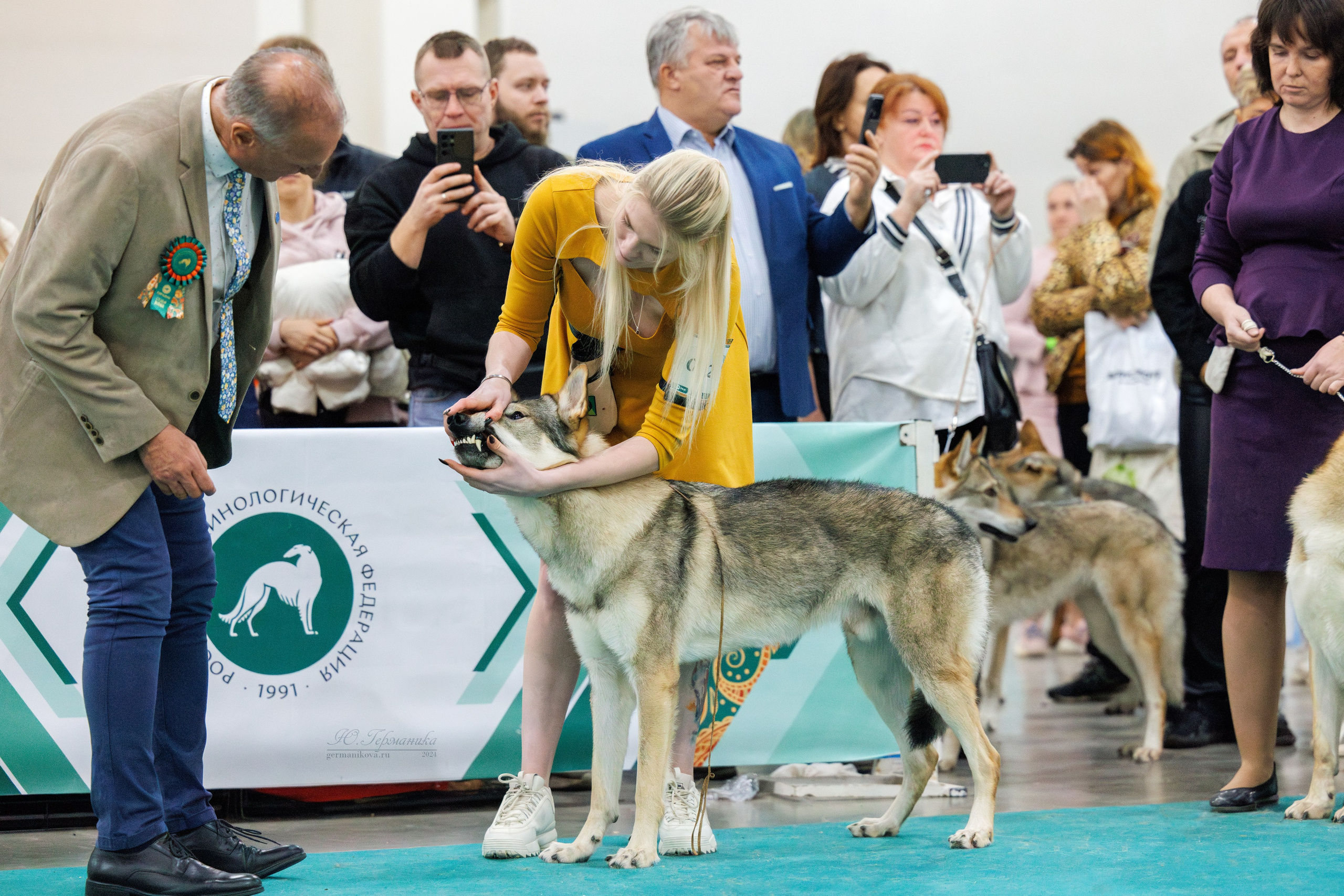 Евразия 16-17.11.2024. Фотограф-анималист Юлия Германика