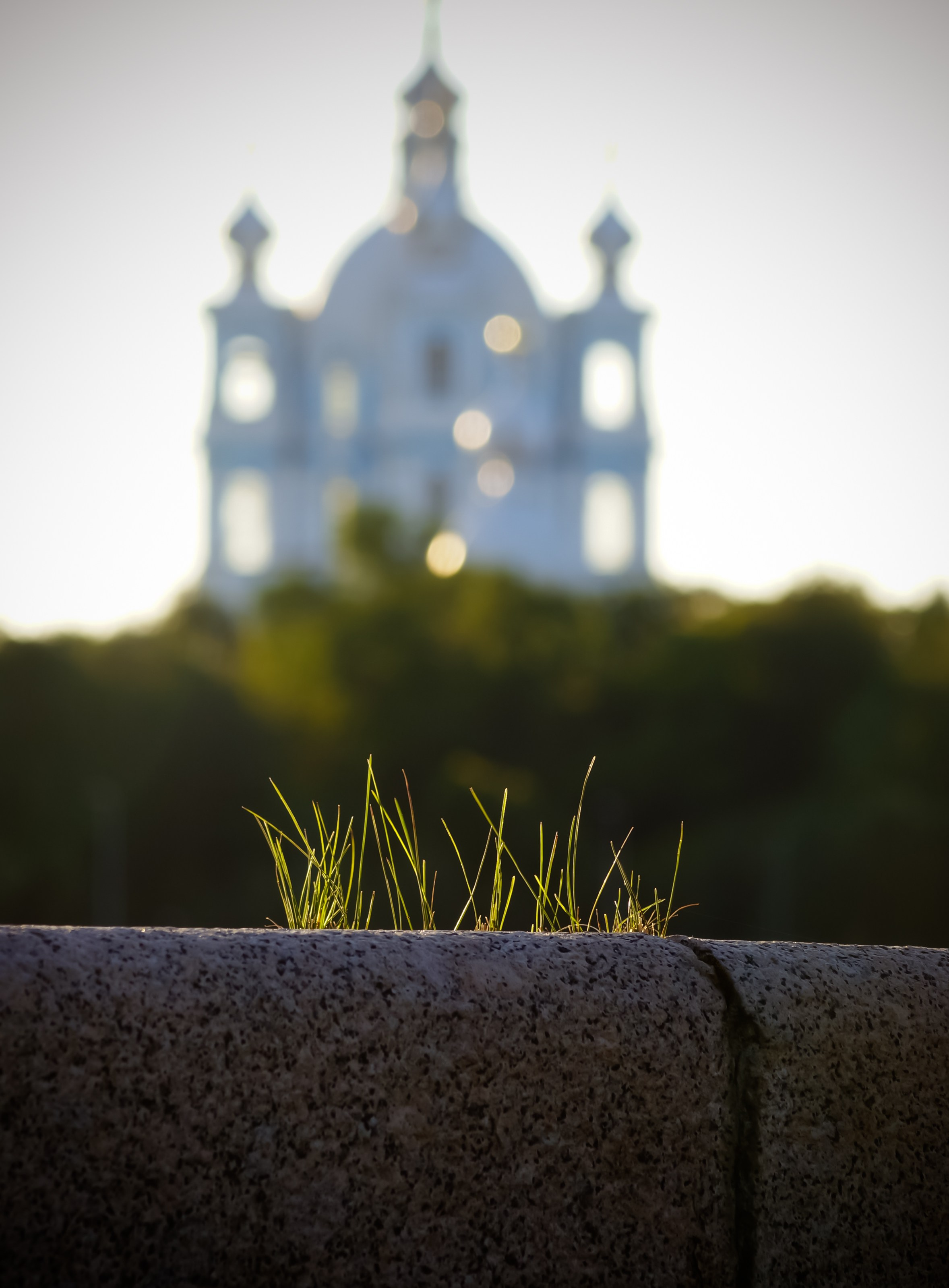 Смольный собор, лето в Петербурге, Свердловская набережная, трава