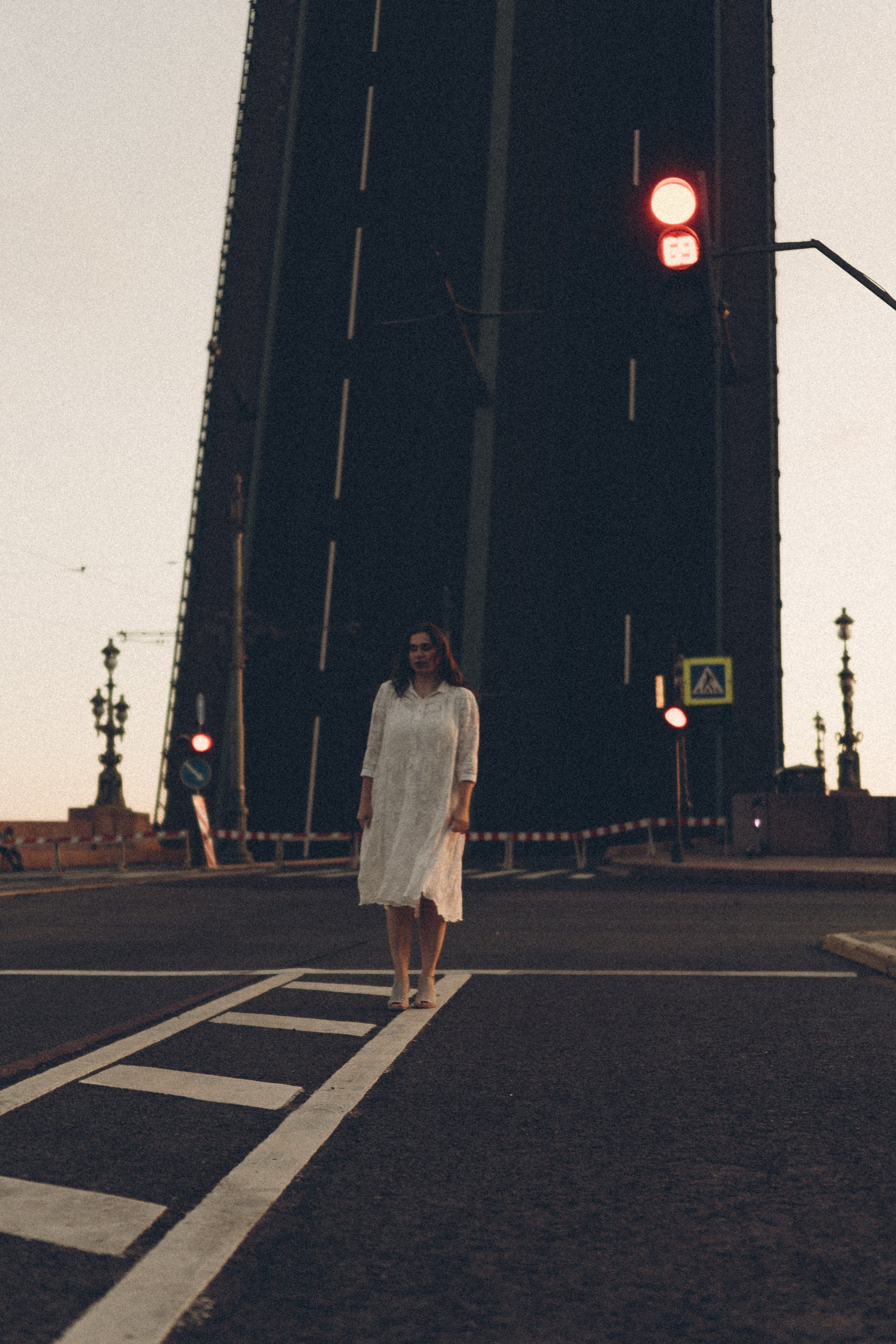 РАССВЕТ С РАЗВОДНЫМИ МОСТАМИ. Профессиональный фотограф, Санкт-Петербург — Виктория Богомолова