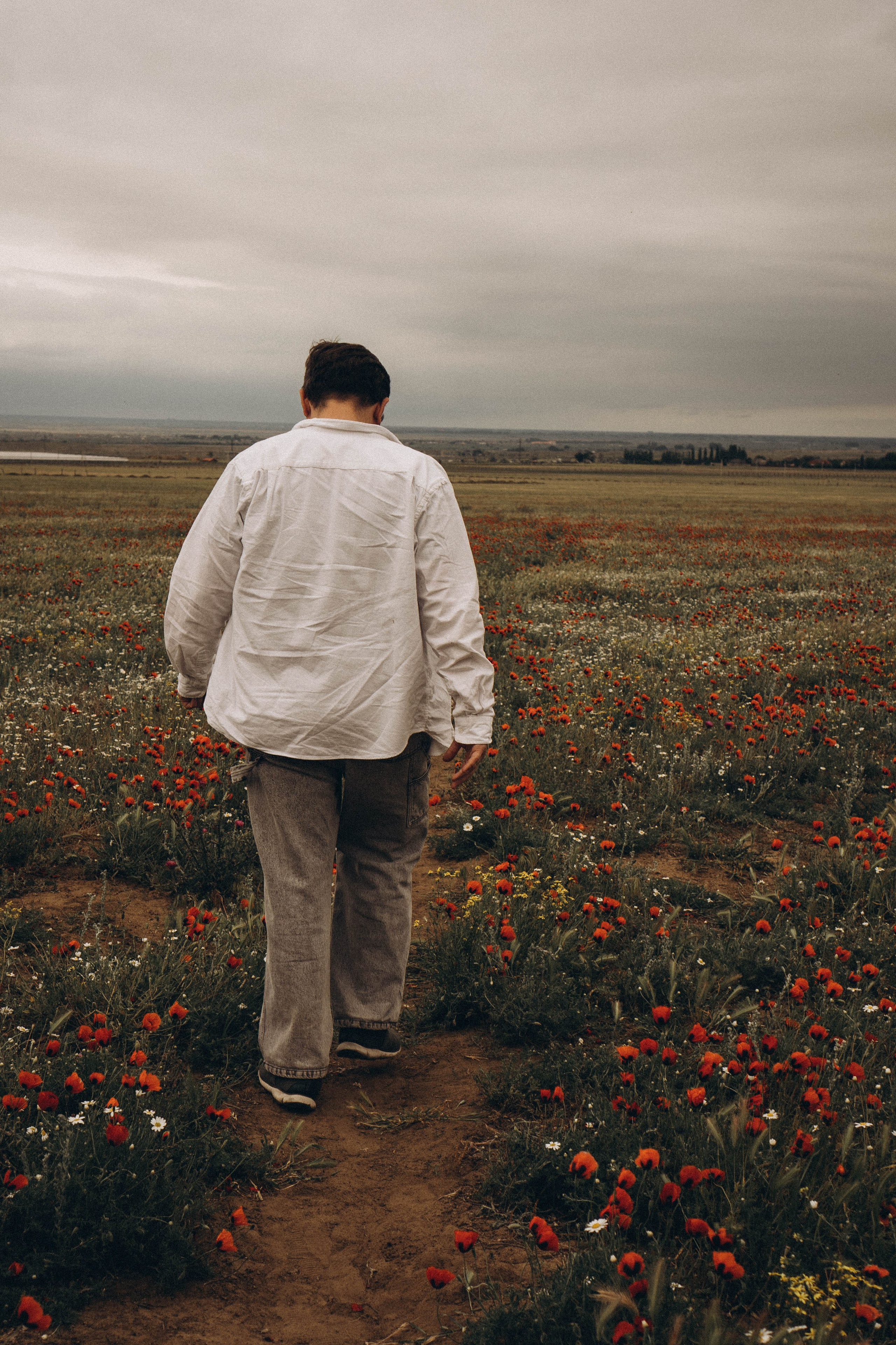 Маки. Профессиональный фотограф, Санкт-Петербург — Виктория Богомолова