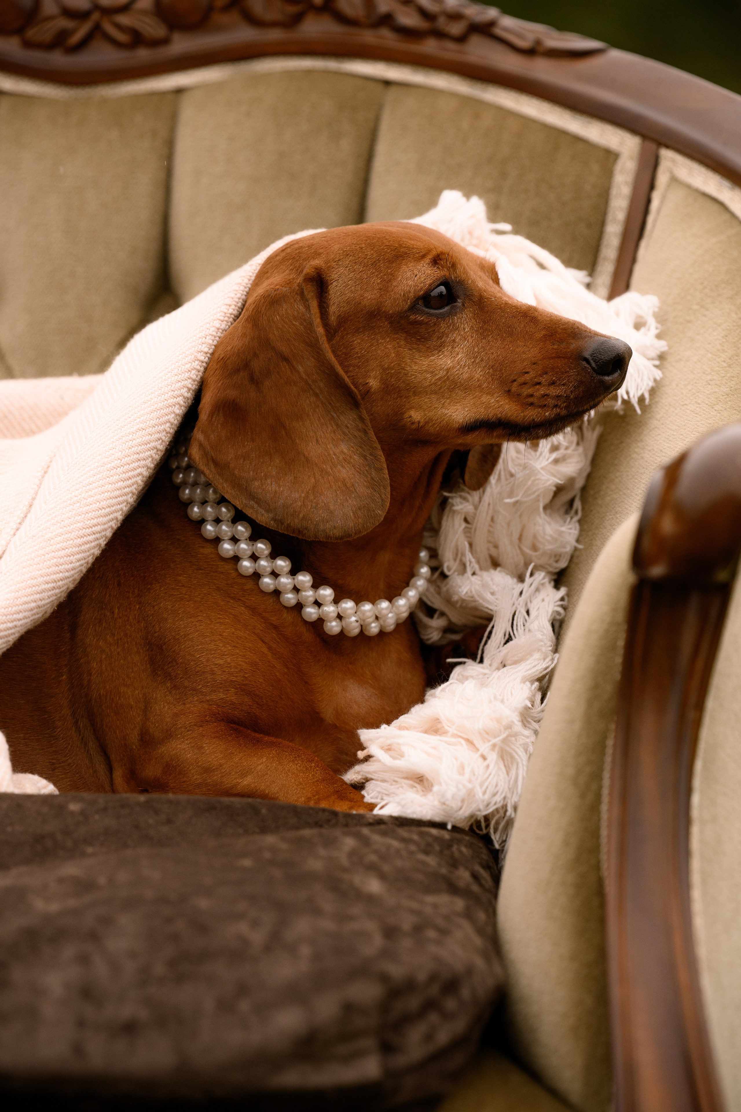 Мы выиграли в любовь. Свадебный фотограф в Санкт-Петербурге, Москве, СПб Сергей Поддубный