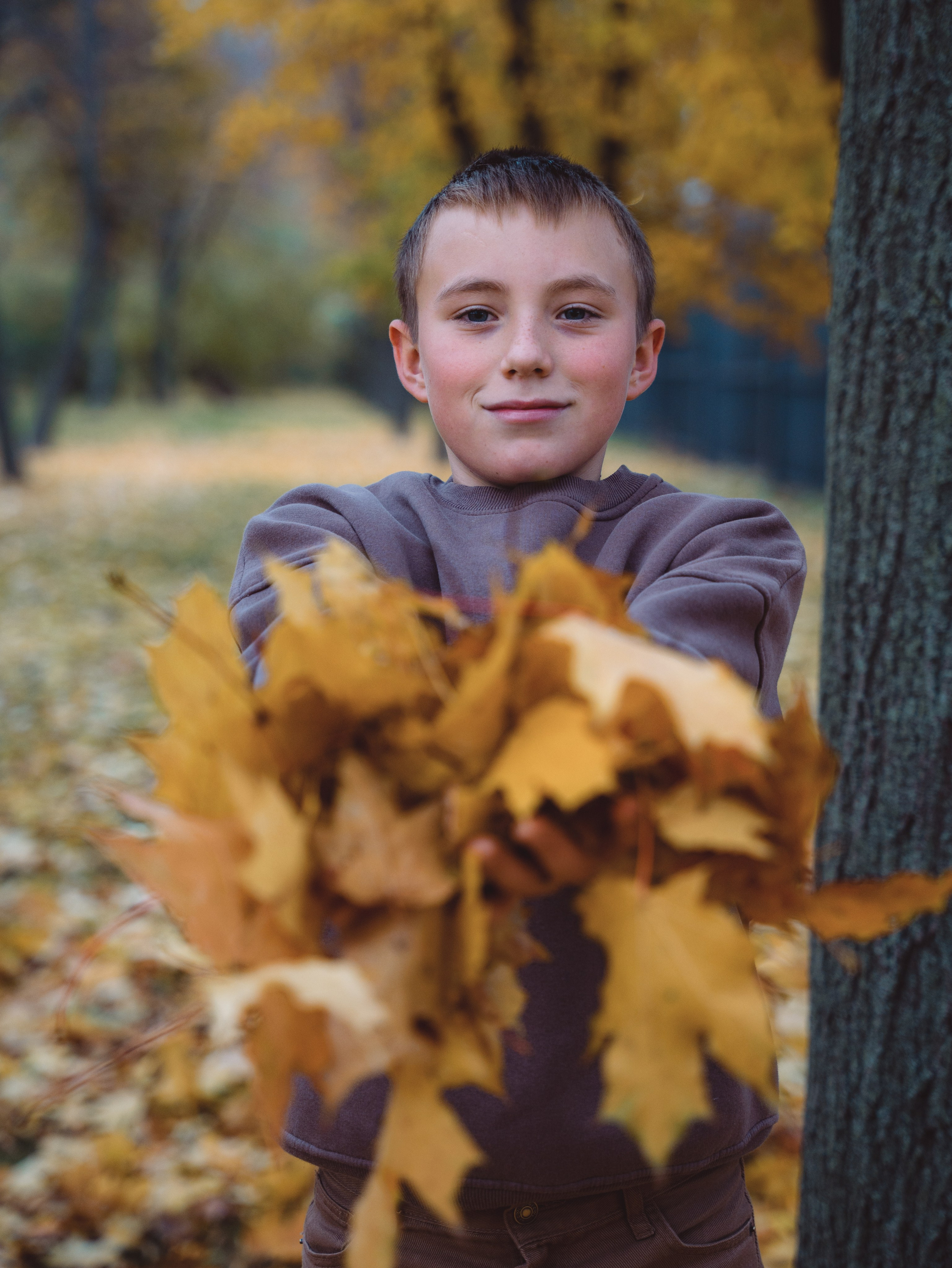 Осень. Https://andreevann.ru