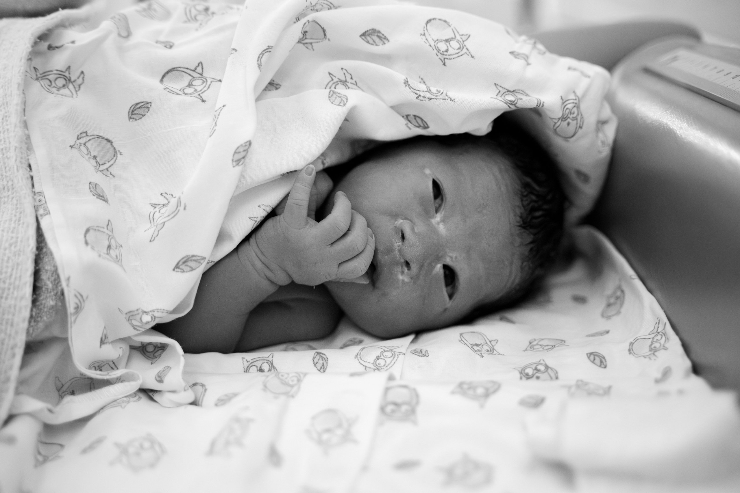 Марк. Фотограф на роды Москва Ольга Летучева