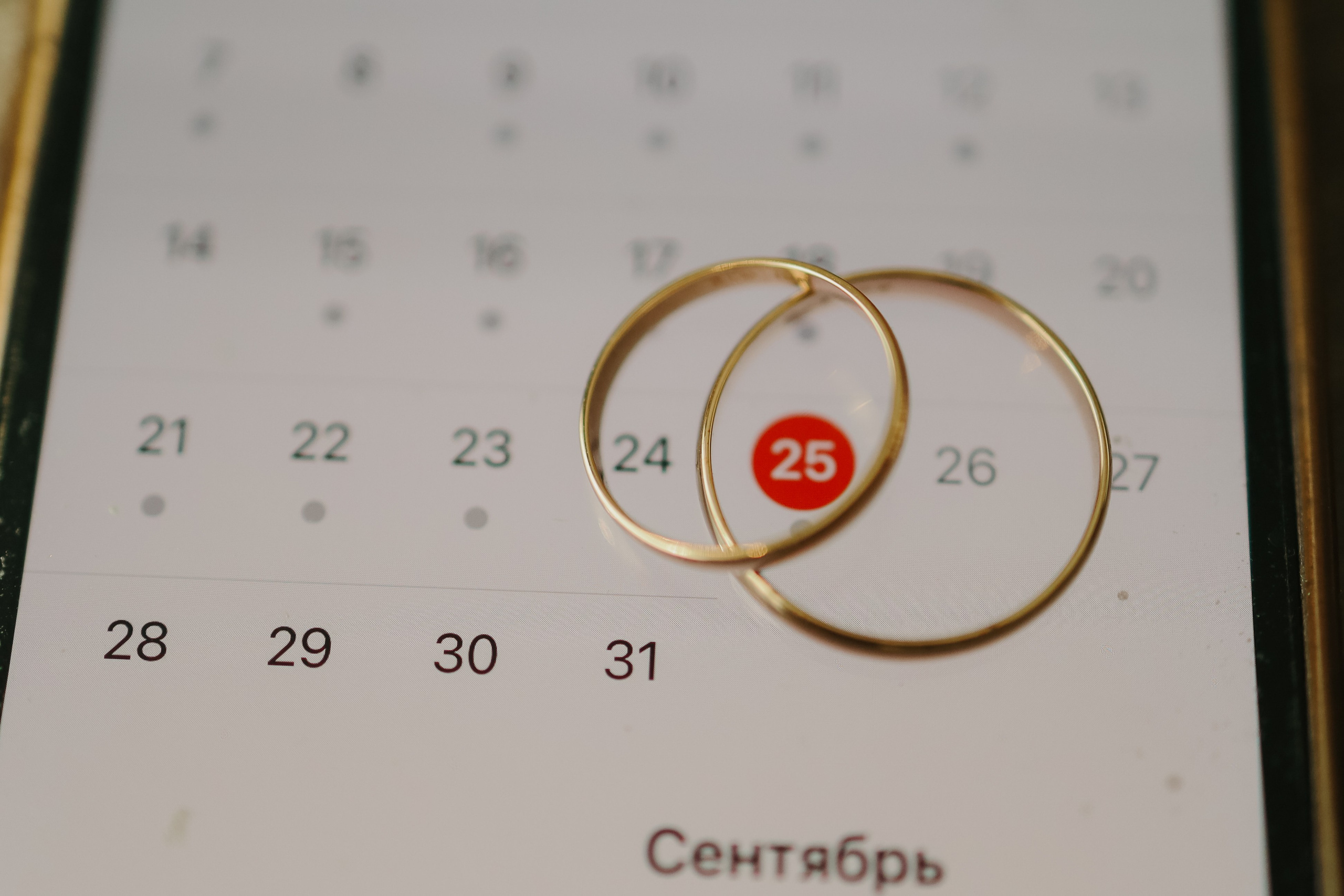 Свадьбы. Свадебный и портретный фотограф в Москве Даша Бондарева