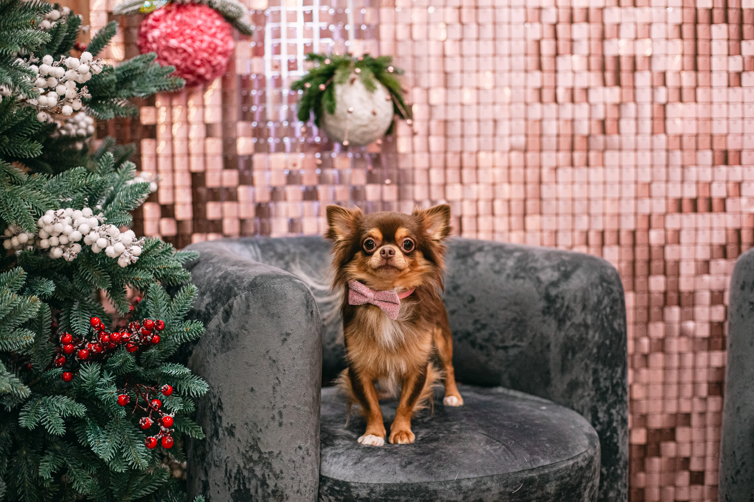 Бульёлка 2024. Фотограф-анималист Татьяна Степанова