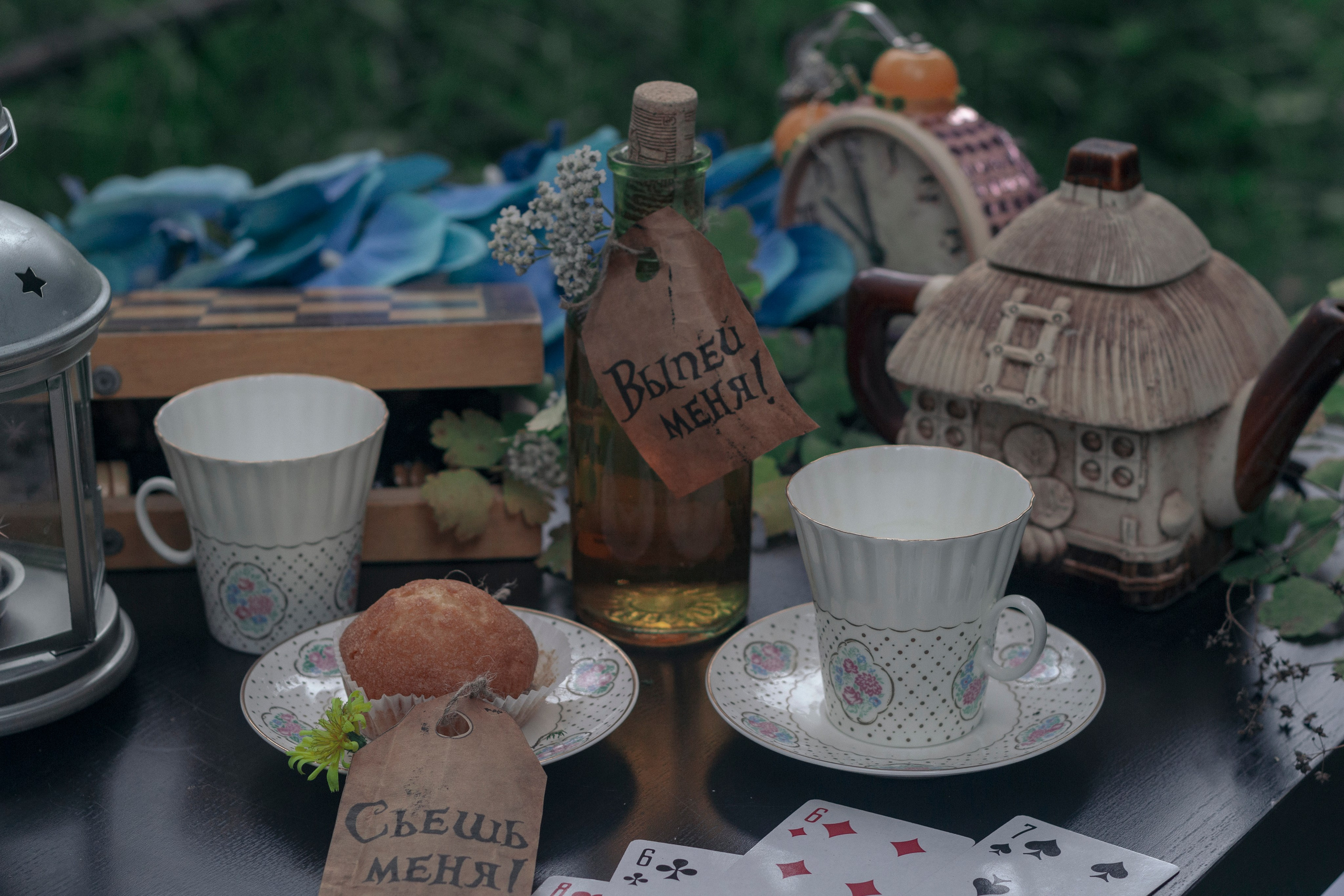 Алиса в стране чудес. Ваш фотограф Северск | Томск