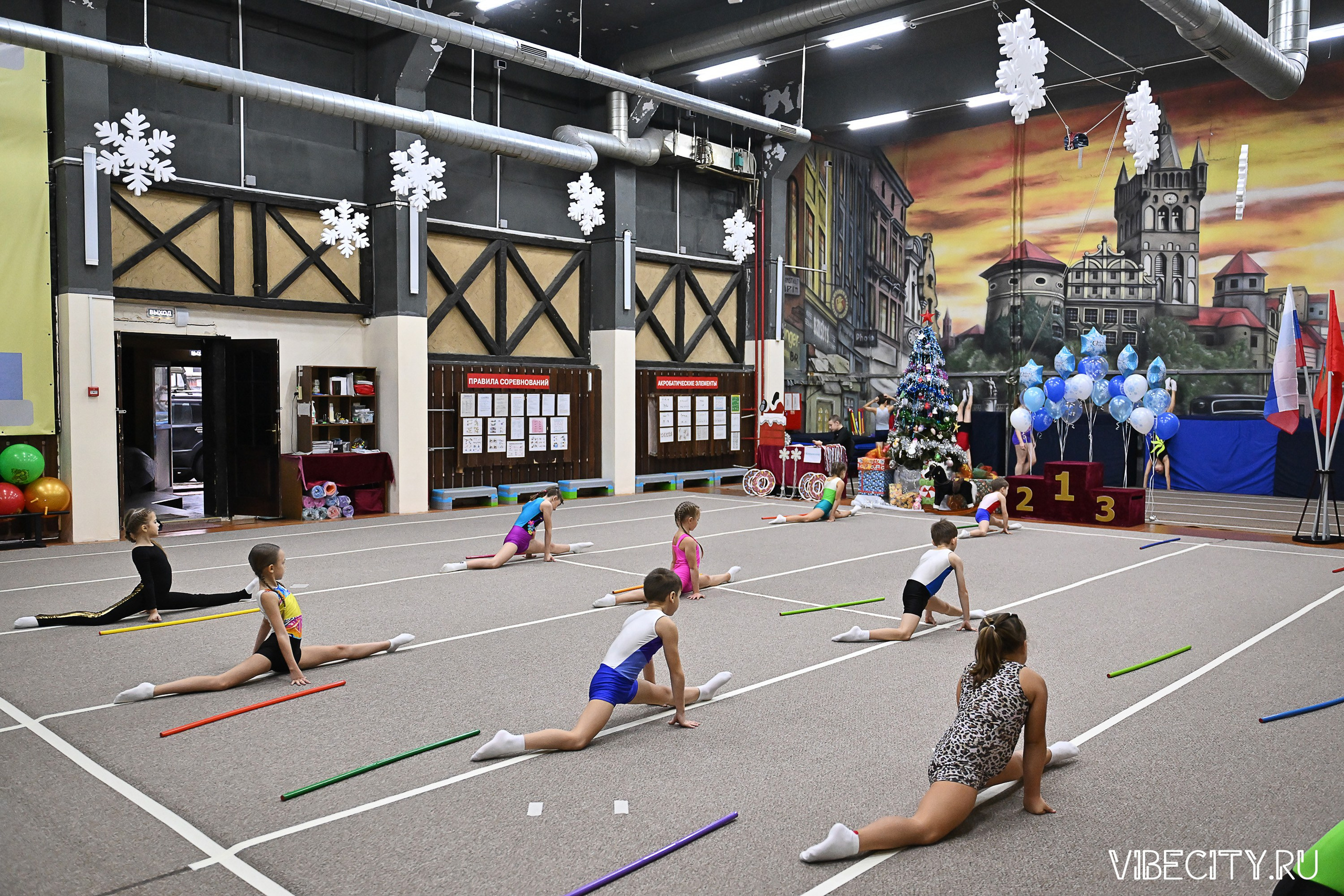 Контрольная тренировка по спортивной гимнастике. VIBECITY.RU Вайб Сити Ру Фоторепортажи Фотоотчеты Калининград