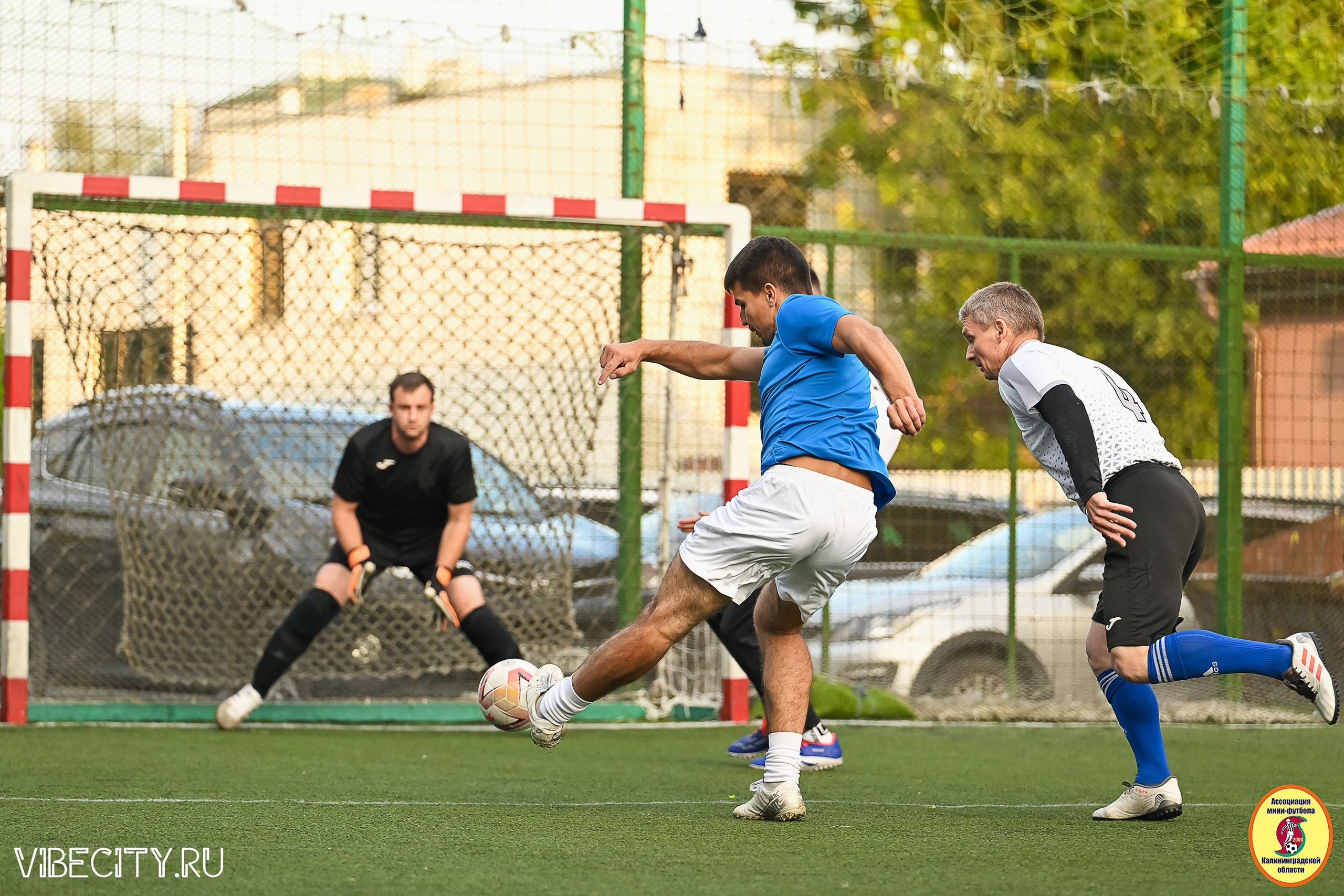 ИГРЫ ПЛЕЙ-ОФФ ПЕРВОГО ДИВИЗИОНА МИНИ-ФУТБОЛЬНОЙ ЛИГИ. VIBECITY.RU Вайб Сити Ру Фоторепортажи Фотоотчеты Калининград
