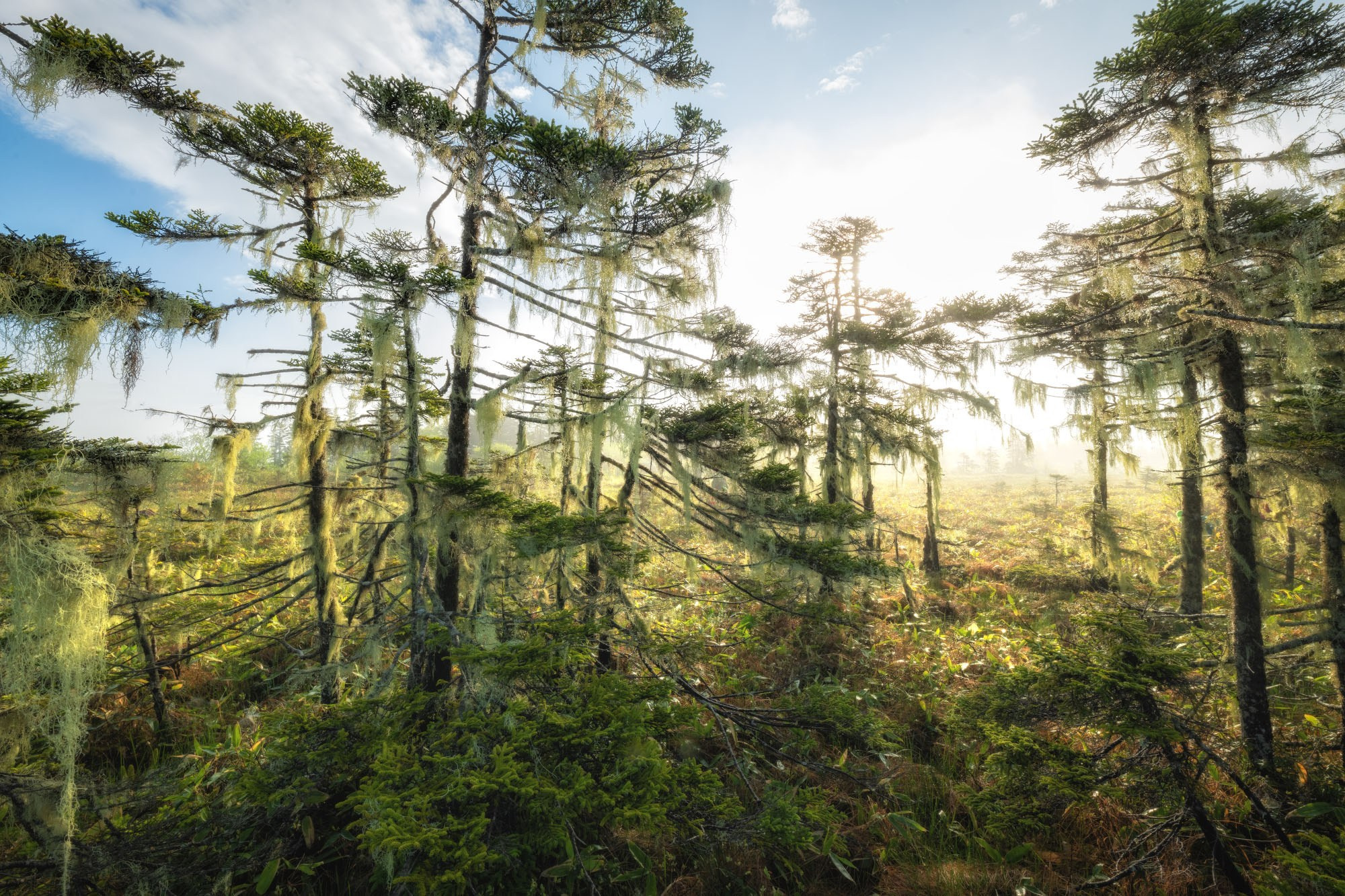 Фотографии южные Курилы