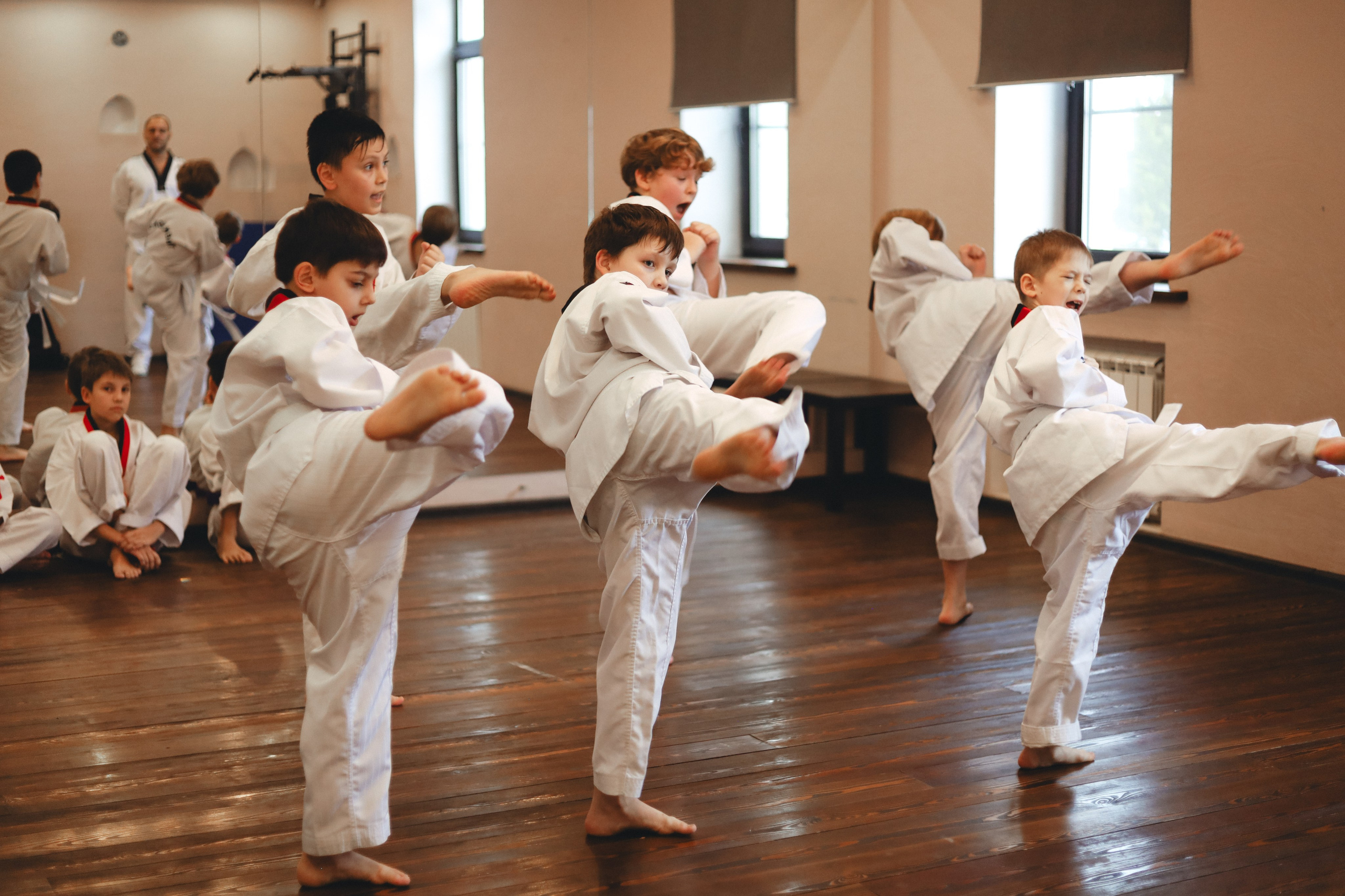 Тхэквондо Аттестация. Фотограф в Москве Бастракова Юлия