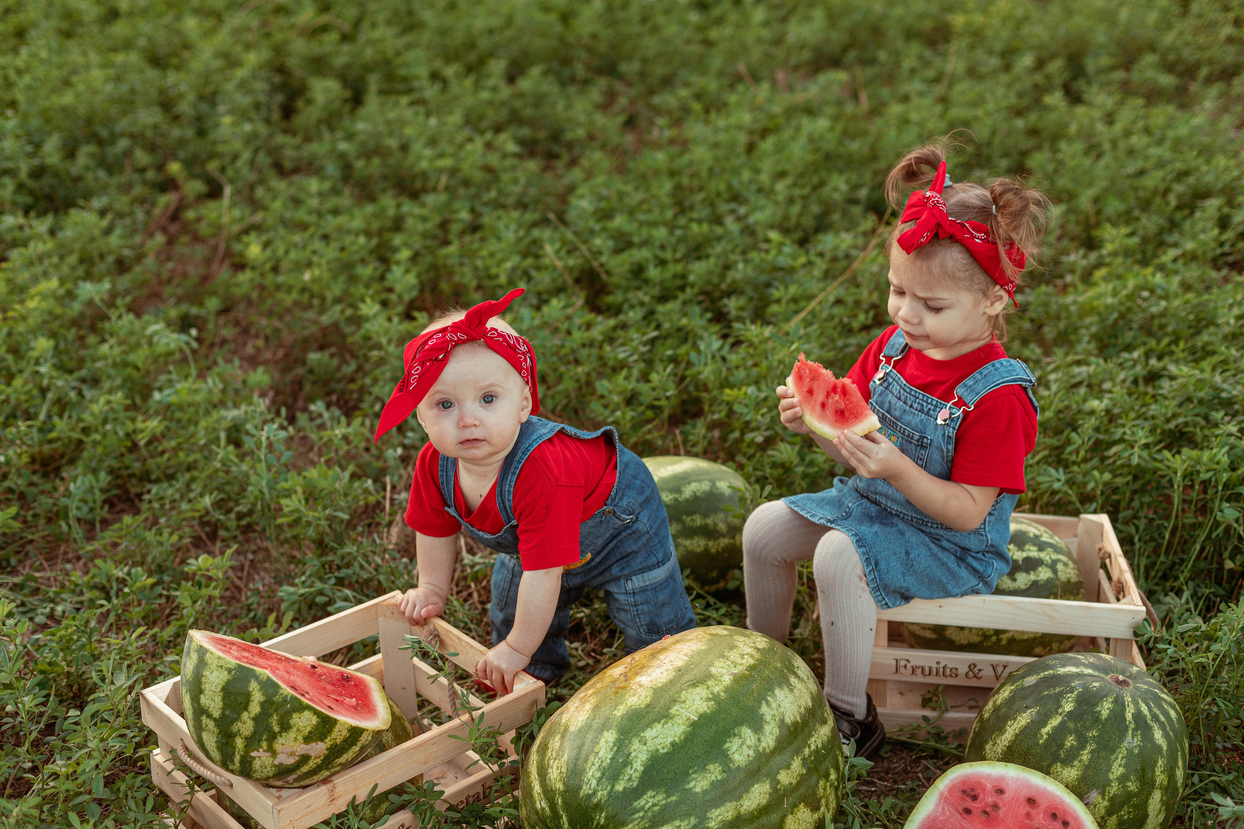 АРБУЗЫ. Семейный и детский фотограф в Крыму Екатерина Швец