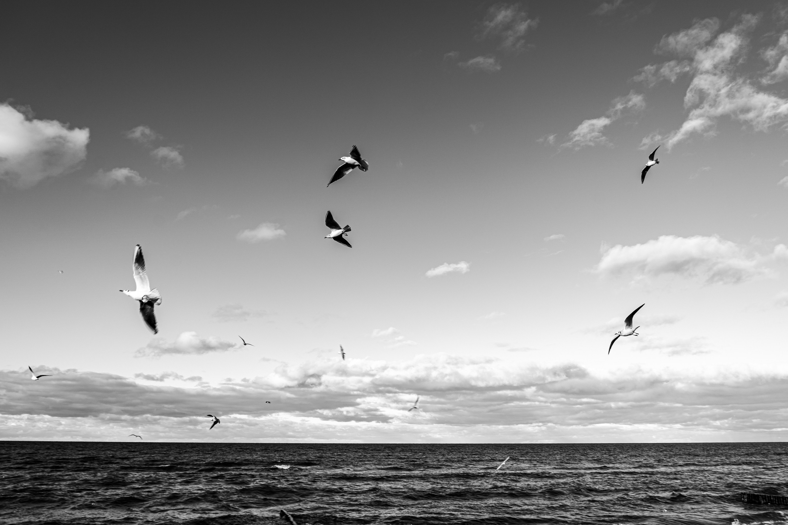 Калининград 2025. Легкая фотография