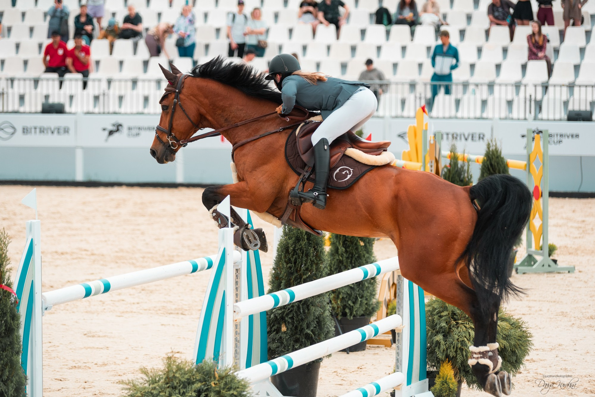 BITRIVER CUP 2023. Конный фотограф Куракина Дарья • Фотосессии с лошадьми