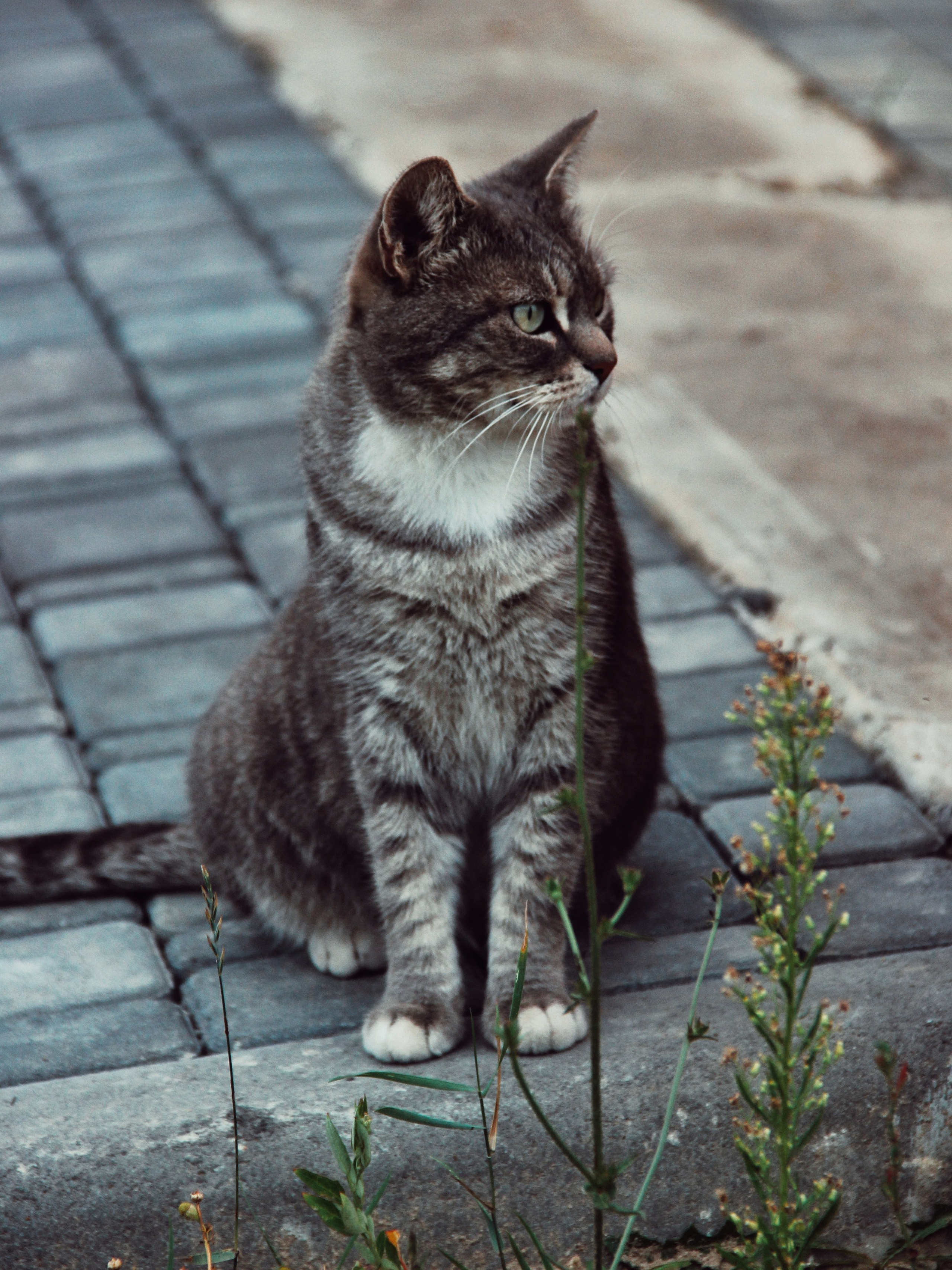 Уличные модели. С любовью, фотохудожник