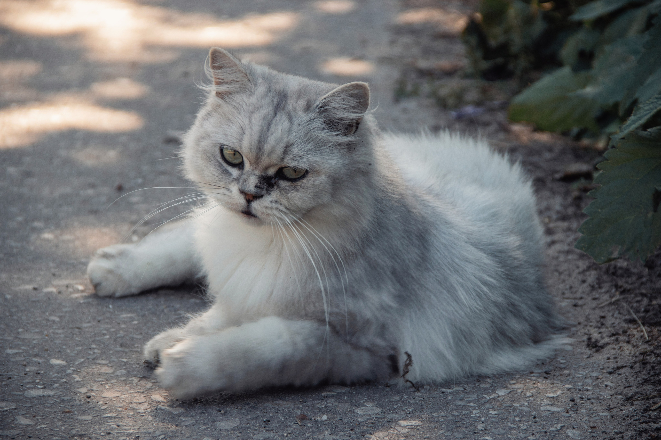 Уличные модели. С любовью, фотохудожник