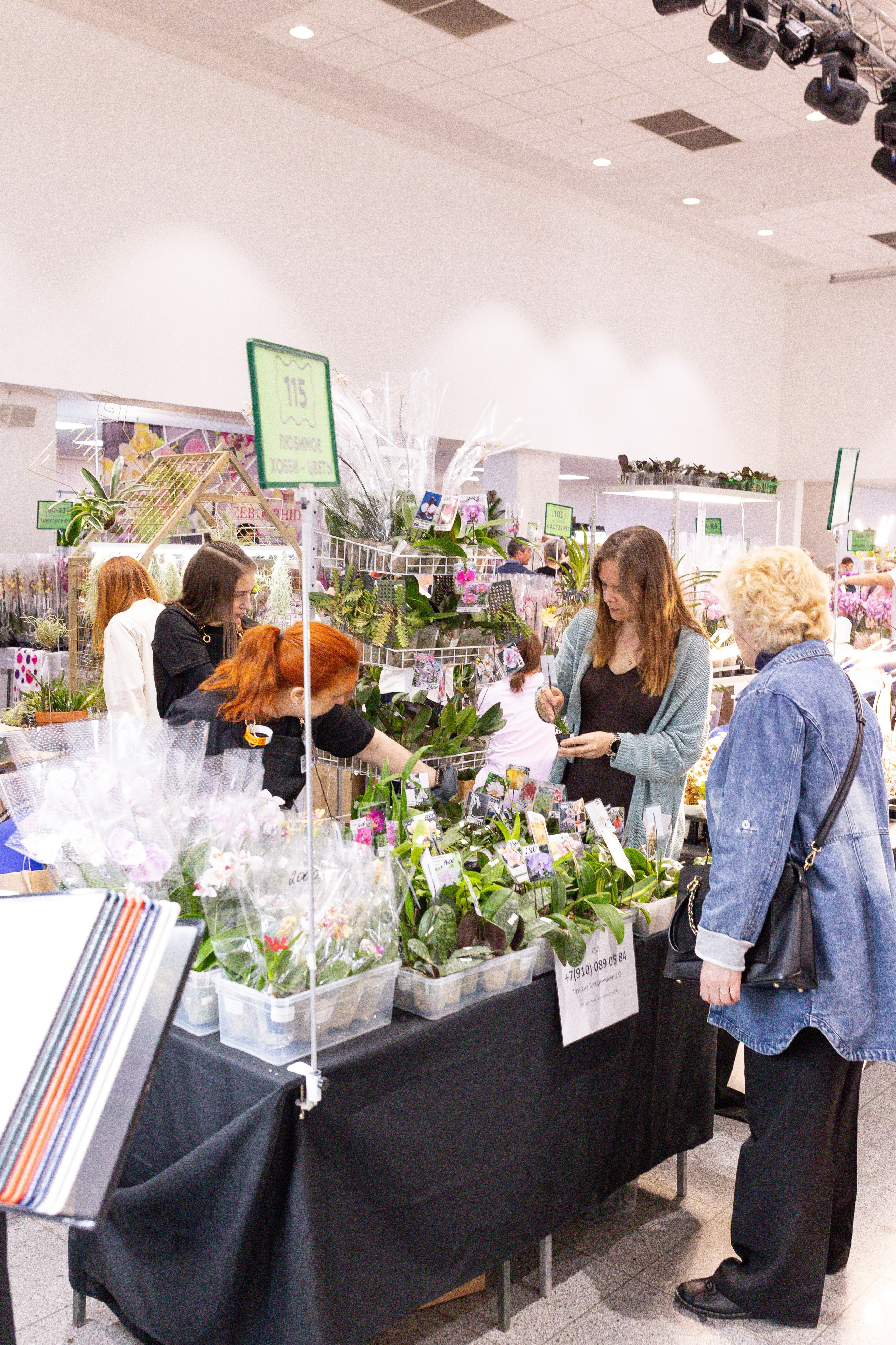 Орхидиум май 2025. Александра Куликова фотограф, Москва