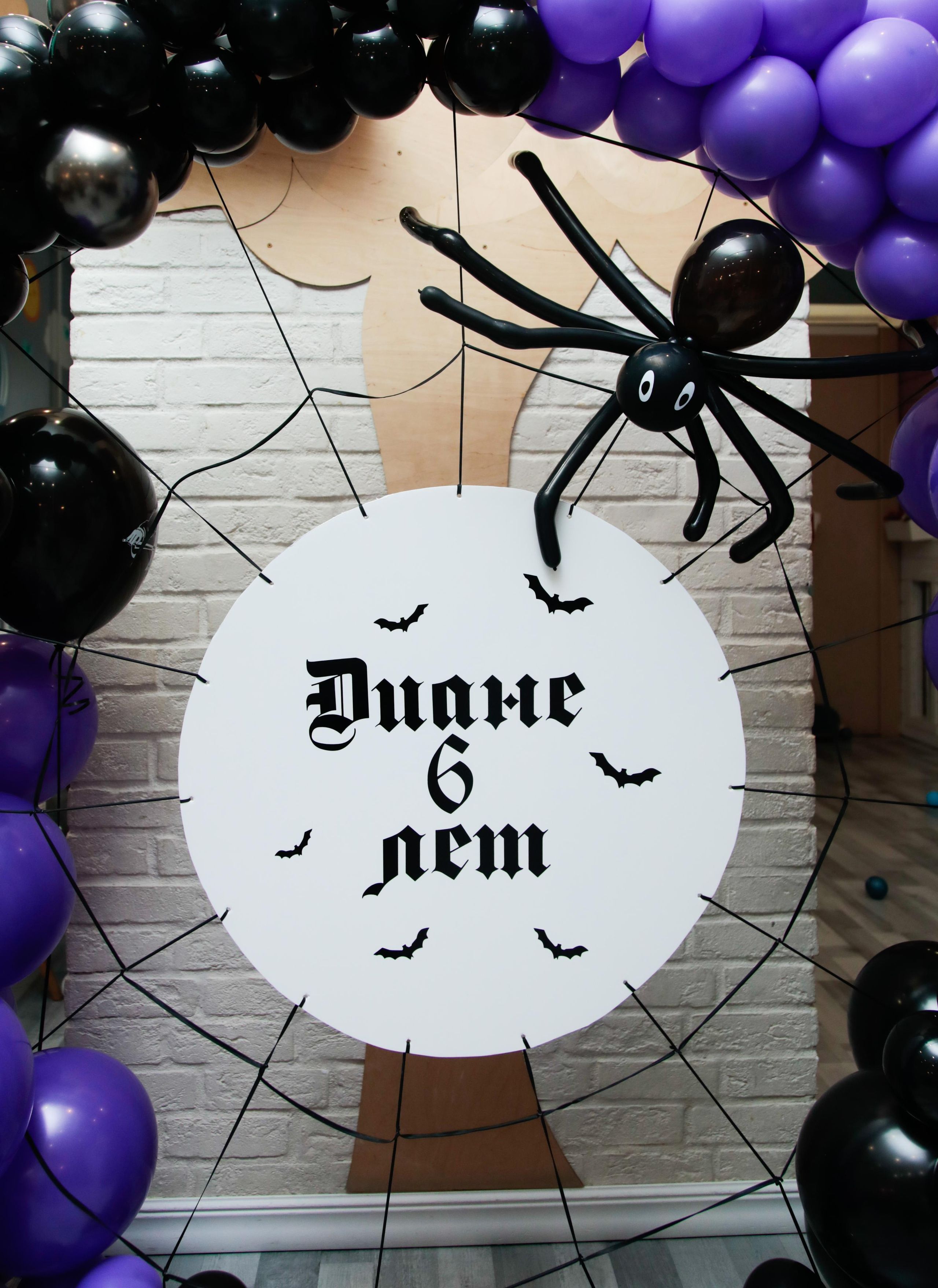 День Рождения Дианы. Фотограф Олеся Милош Мытищи, Москва и МО и весь мир