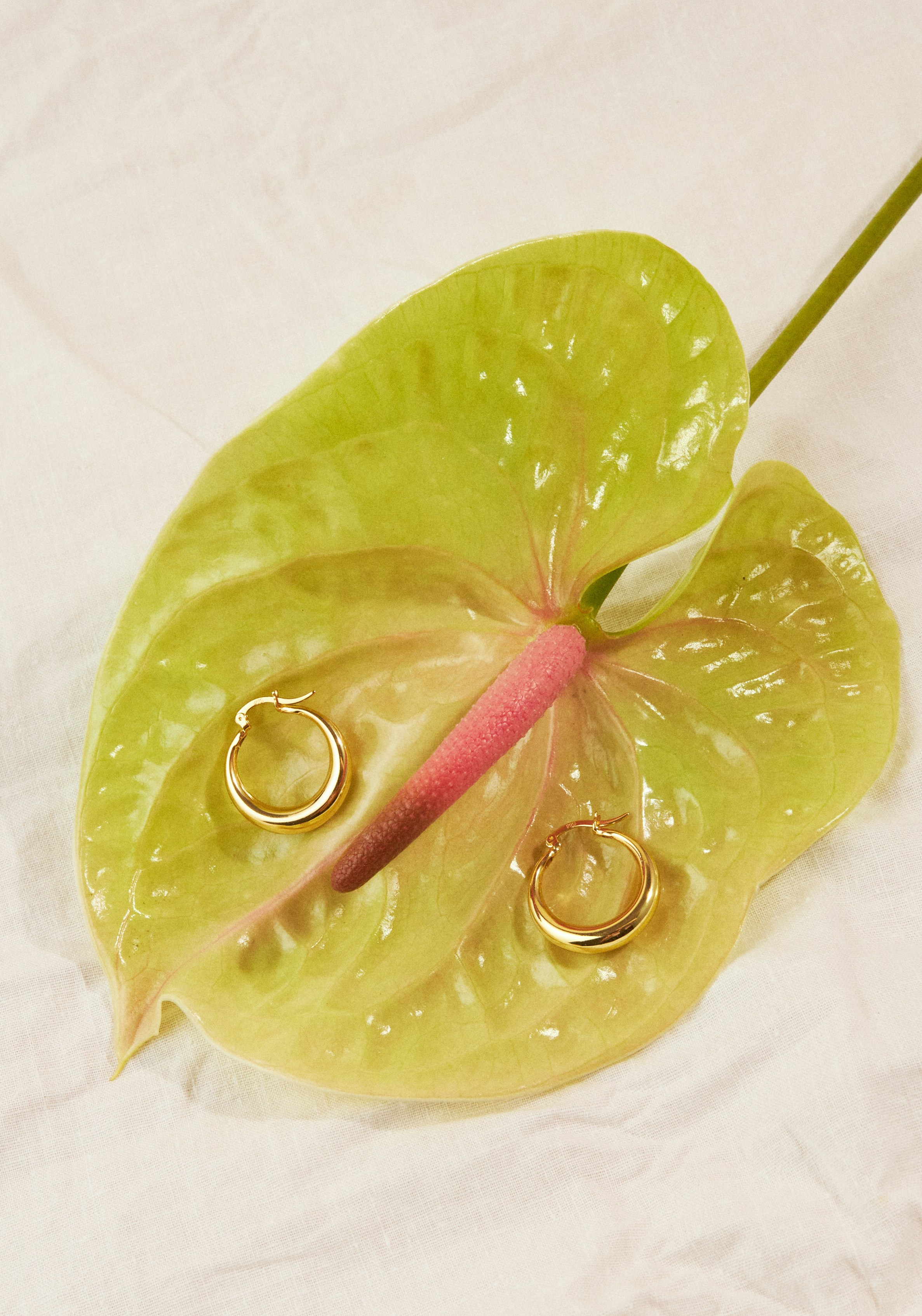 Rassvet Detail. Предметный фотограф Москва Глухарёва Оля