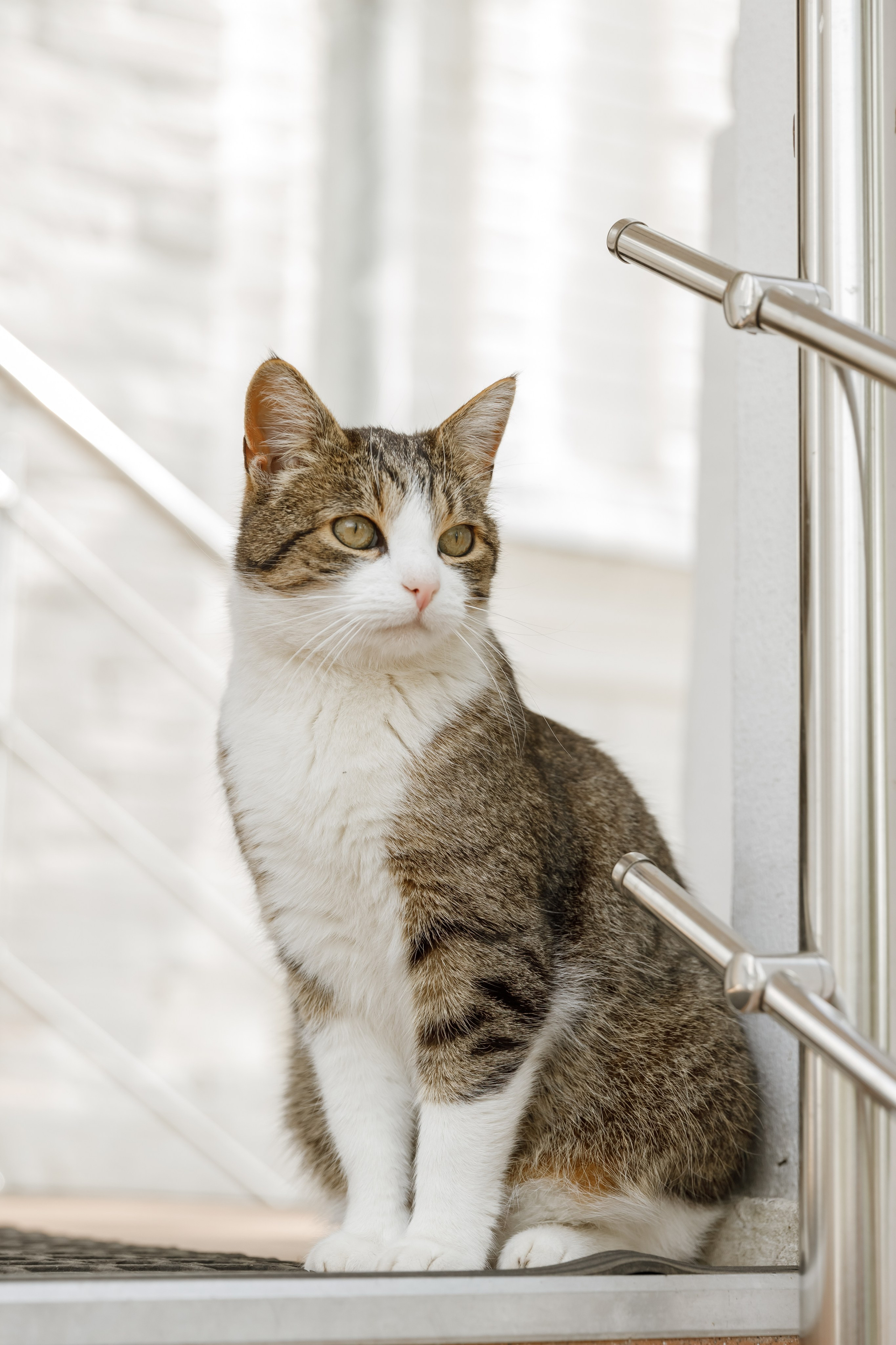 Ополье. Свадебный фотограф, крещение, венчание СПБ, Белгород Анна Коршунова