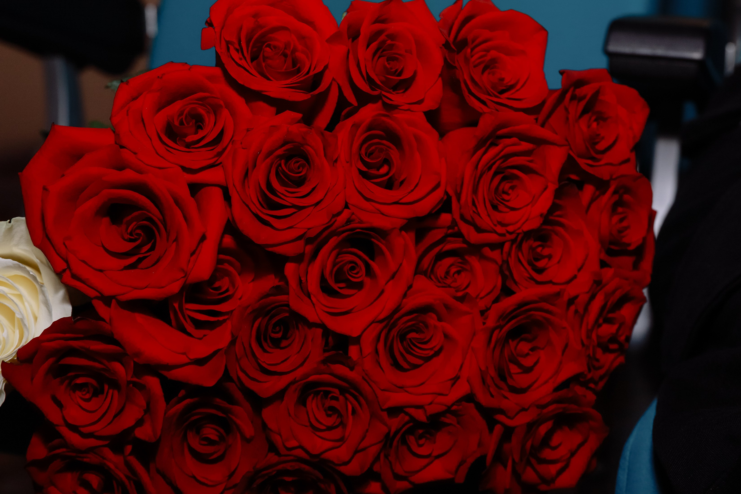 Котиара _ Отчетник. Фотограф Юлия Мальцева