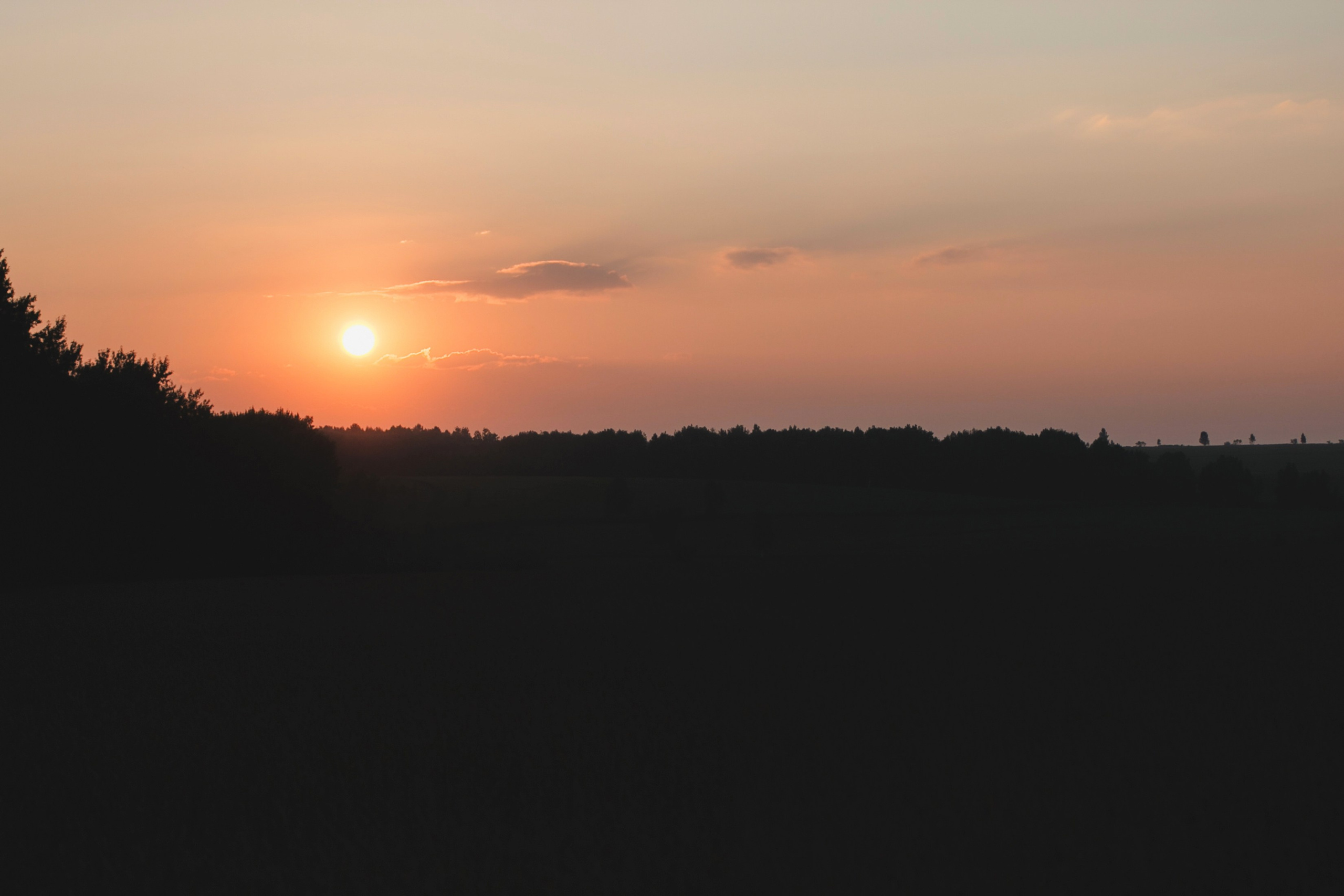 Встреча на дороге. Фотограф Андрей Кононенко
