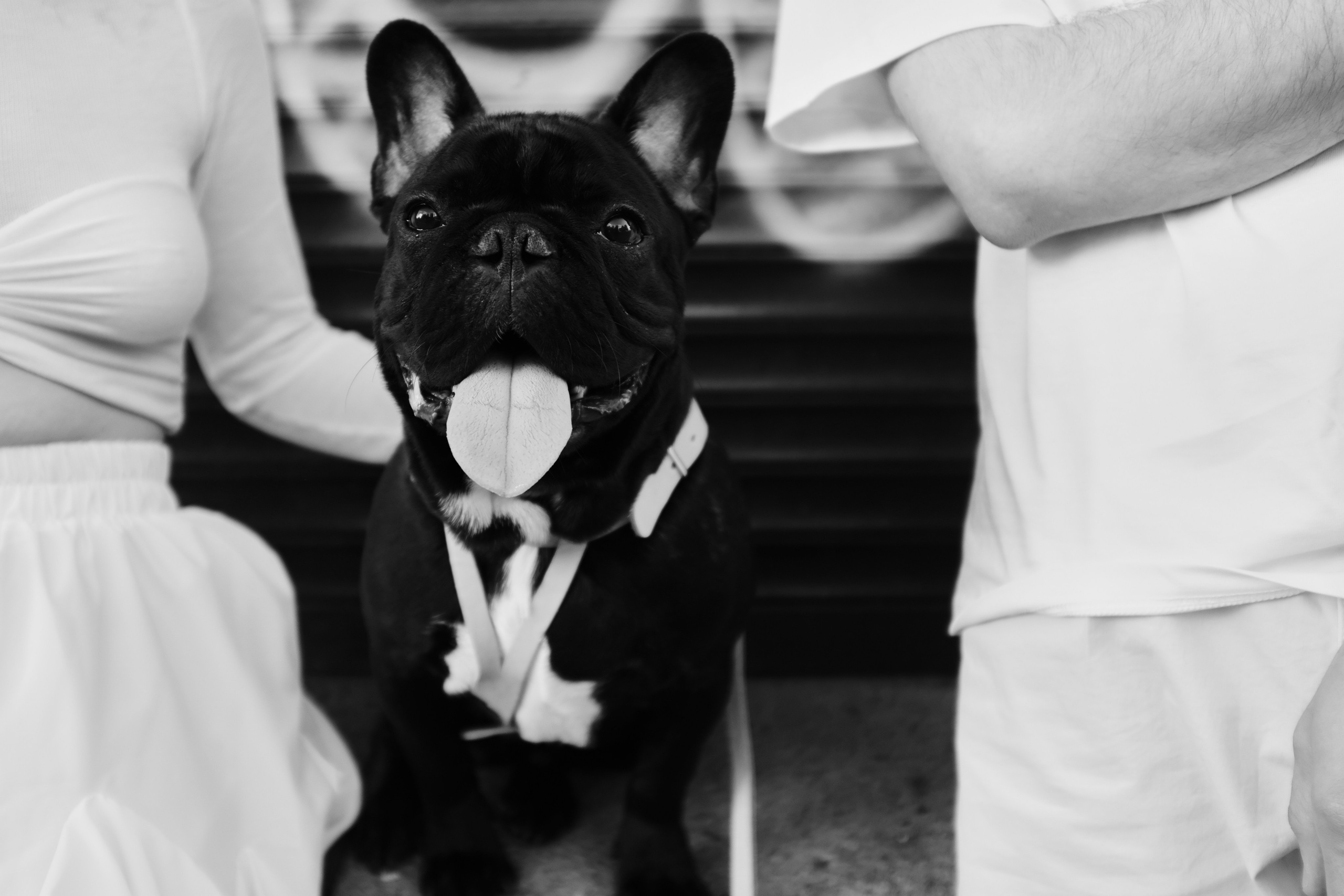 Мандалорцы для малыша Йоды. Wed Photographers 📷 Saint Petersburg
