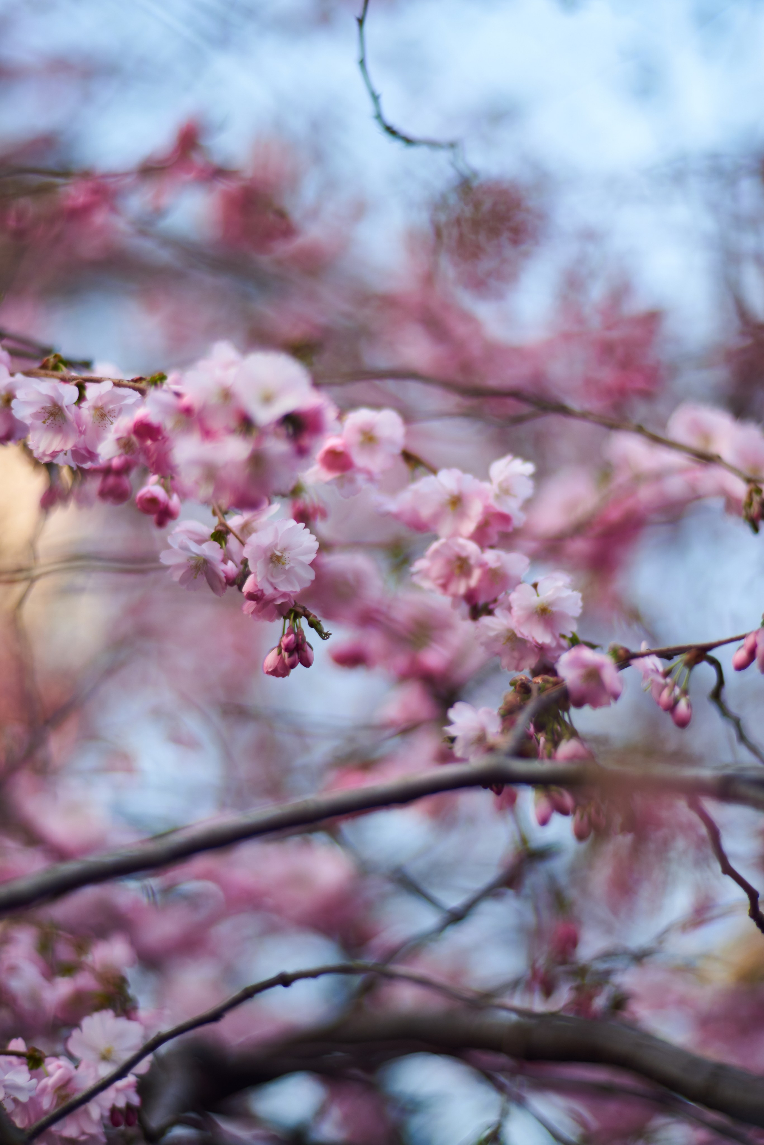 Отзывы. Фотографиня и создательница сказок Дарья Сова