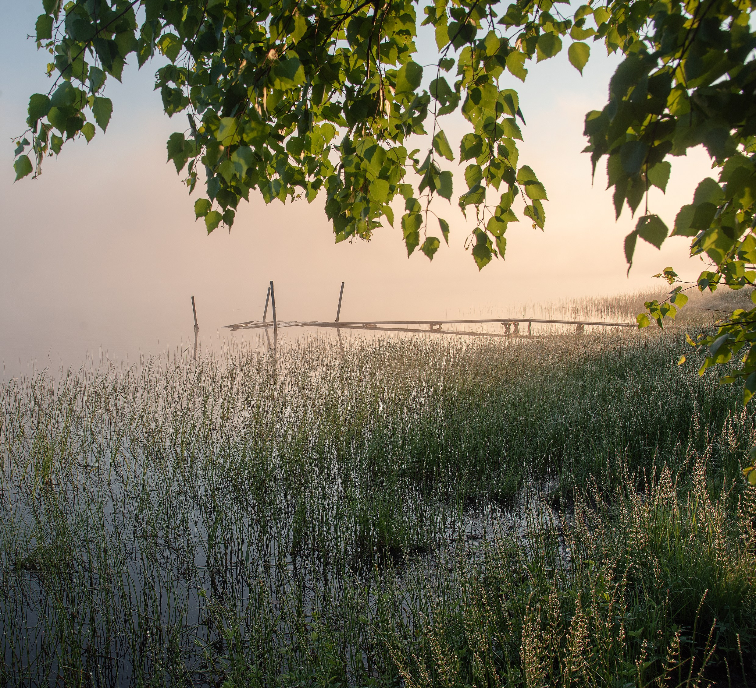 Вятка 18.06.26 — 21.06.26. Дмитрий Купрацевич профессиональный пейзажный и travel-фотограф