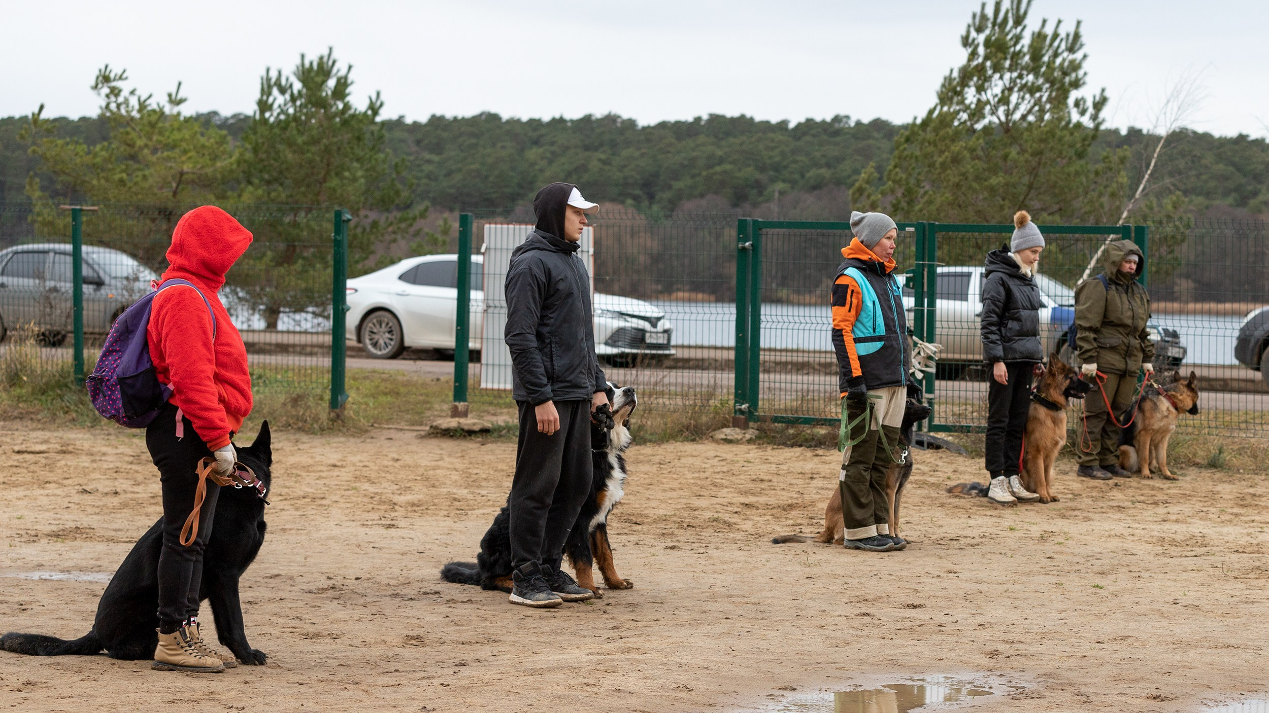 Вера и Чейз на экзамене ОКД. Фотограф-анималист в Калуге Мария Шерскова