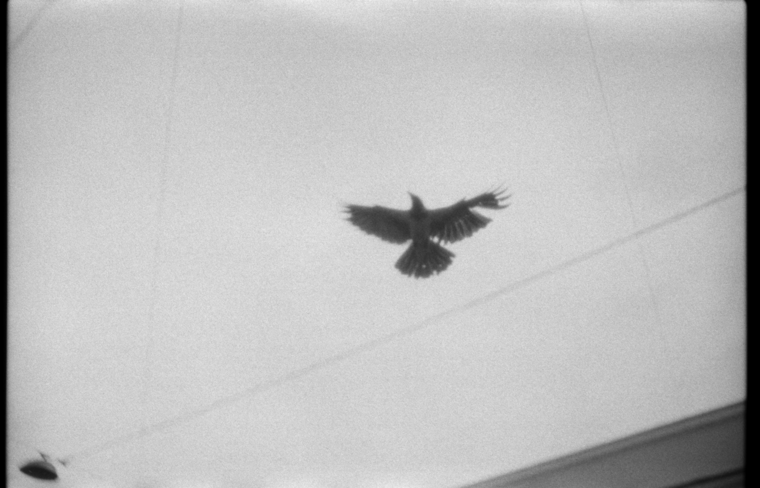 Spaces and faces 2013-∞. Наталья Рутова