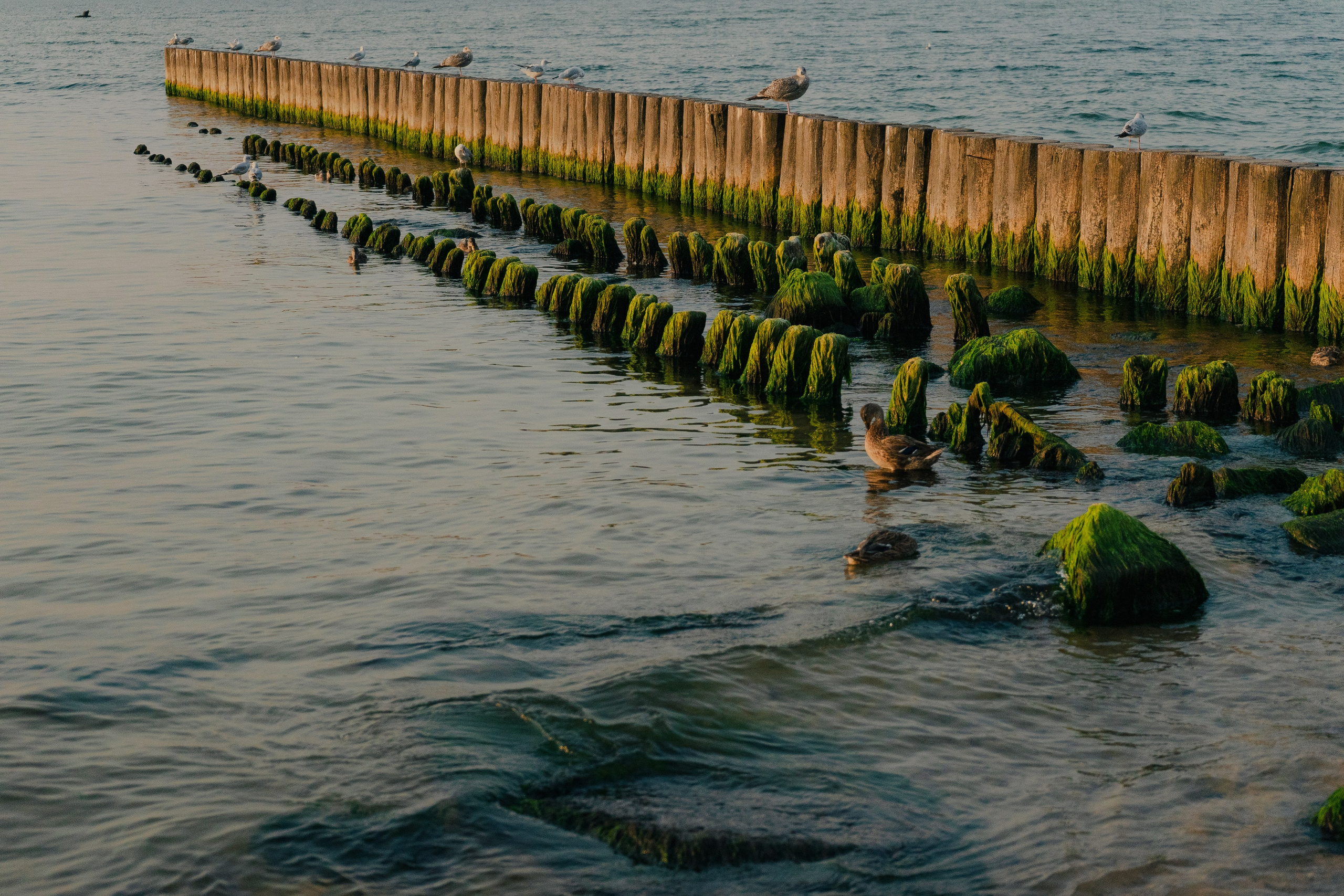 Балтийское море. Денис Марков — фотограф в Екатеринбурге