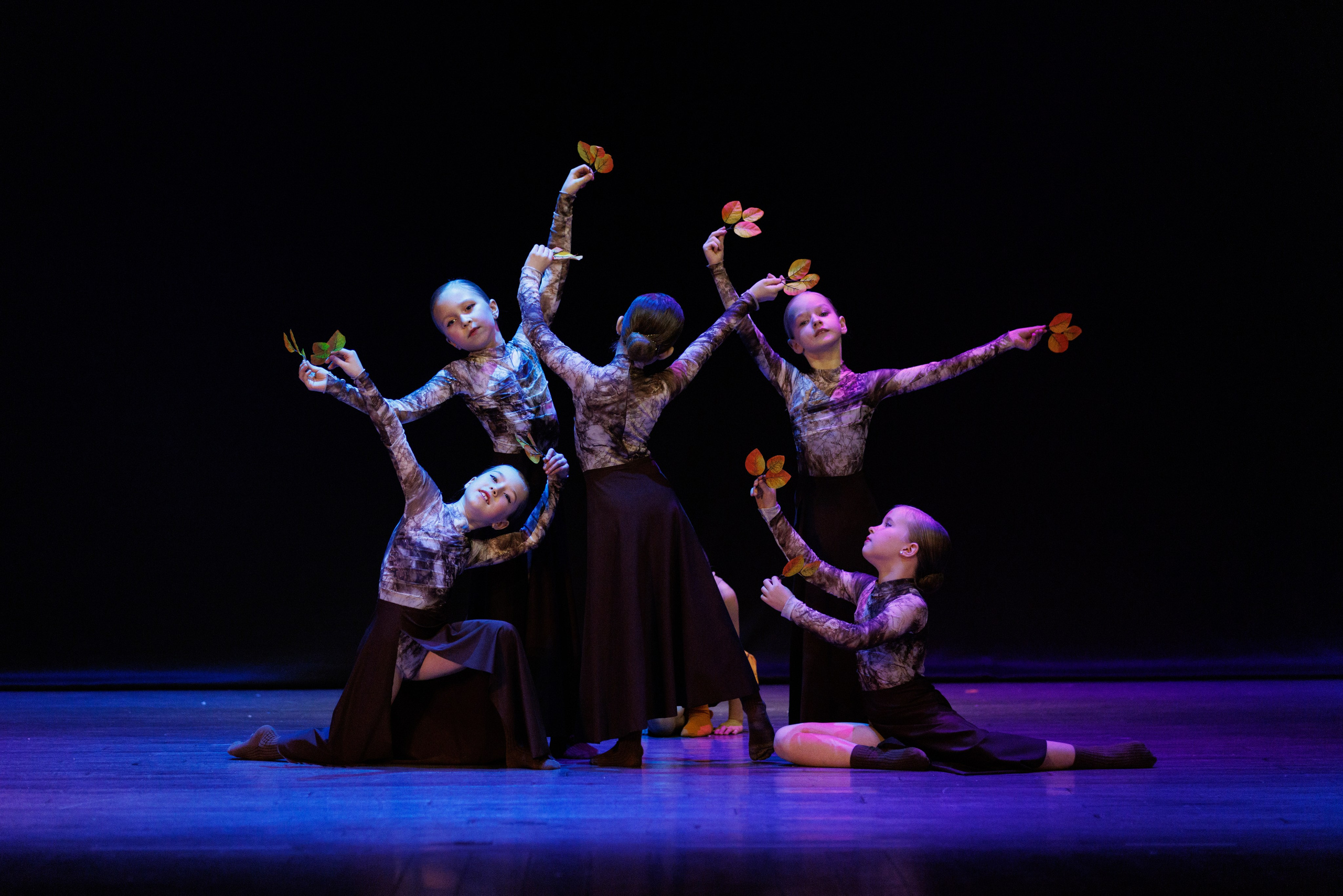 Концерт Королевской Академии танца. Спортивный фотограф Алексей Соломин