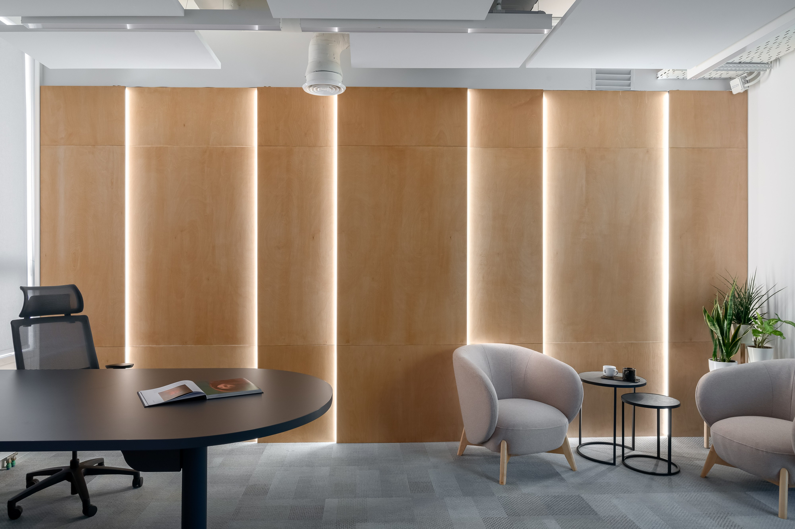 Реализованный проект офиса. Интерьерный Фотограф Москва Криста FLY Труфанова