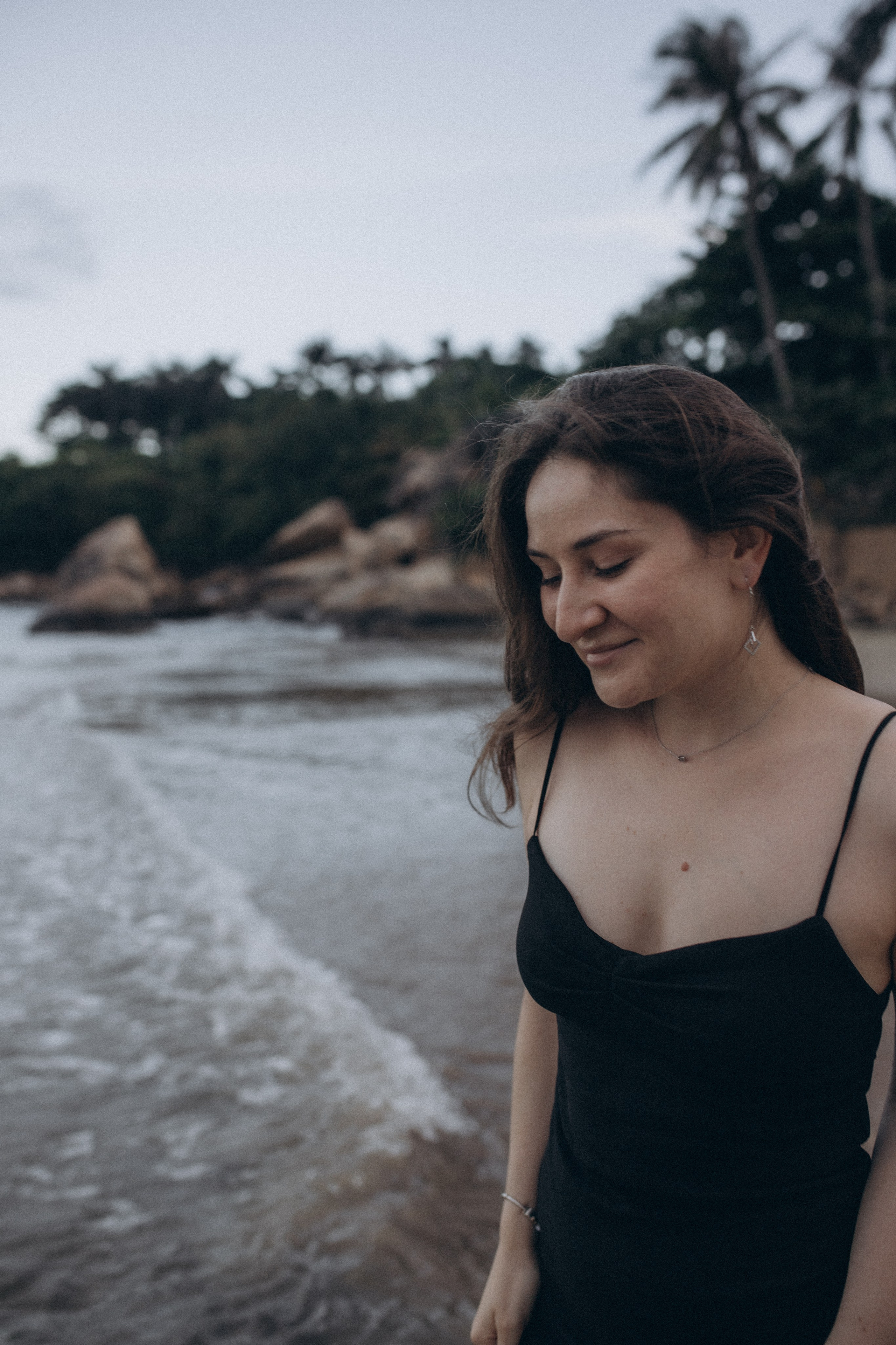 Лилия «сад камней» Вьетнам. Главная