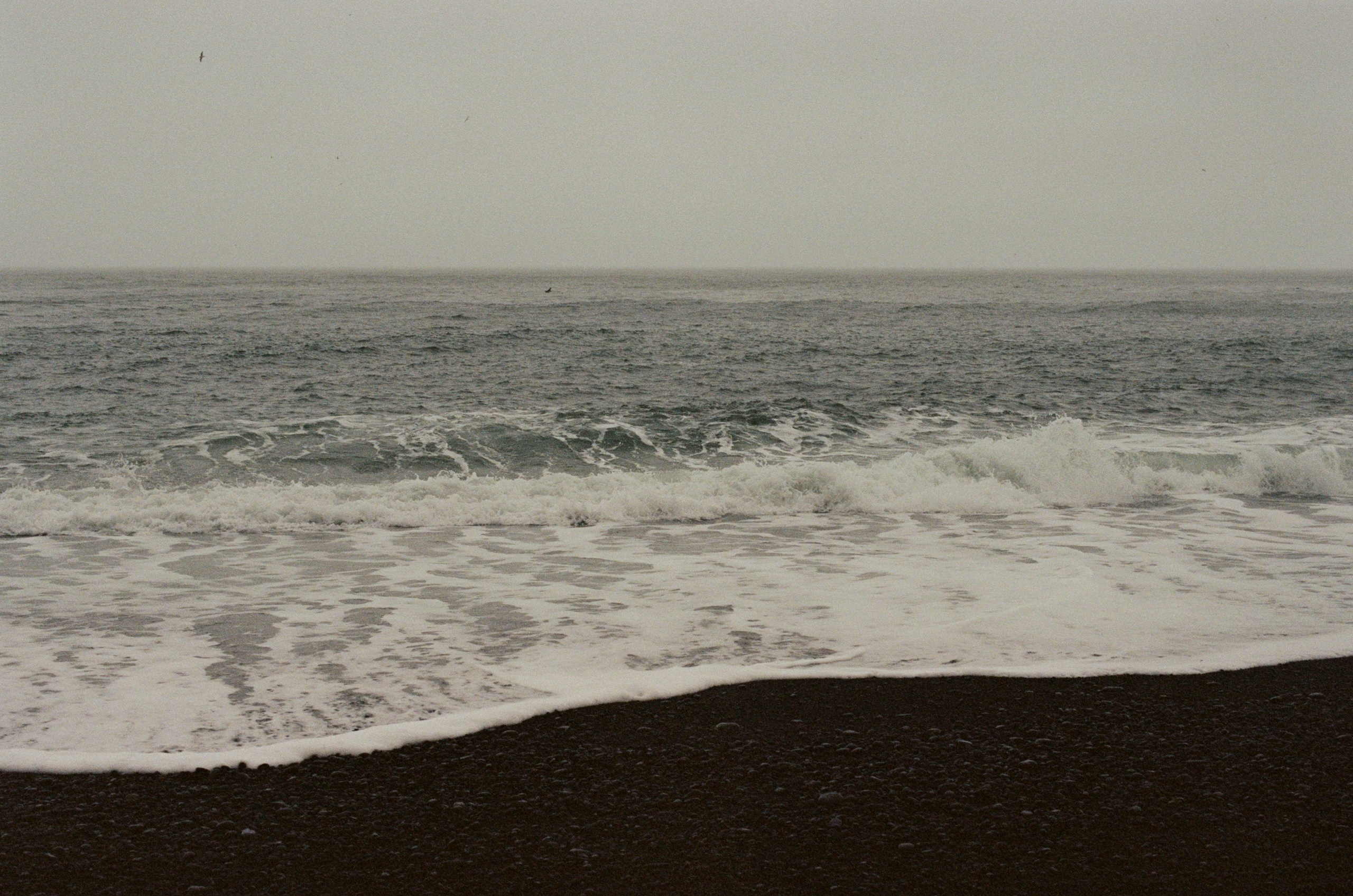 Human // iceland, reynisfjara. EVER EXPOSED