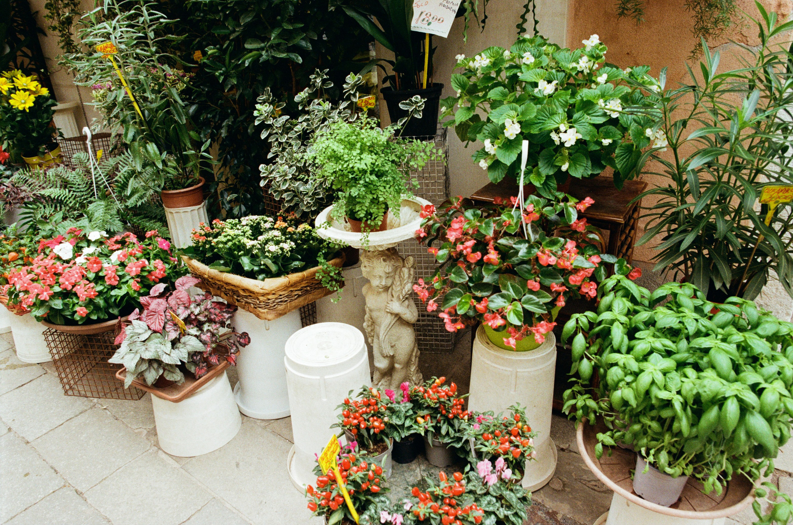 Lasciami stare // italy, venice VI. EVER EXPOSED