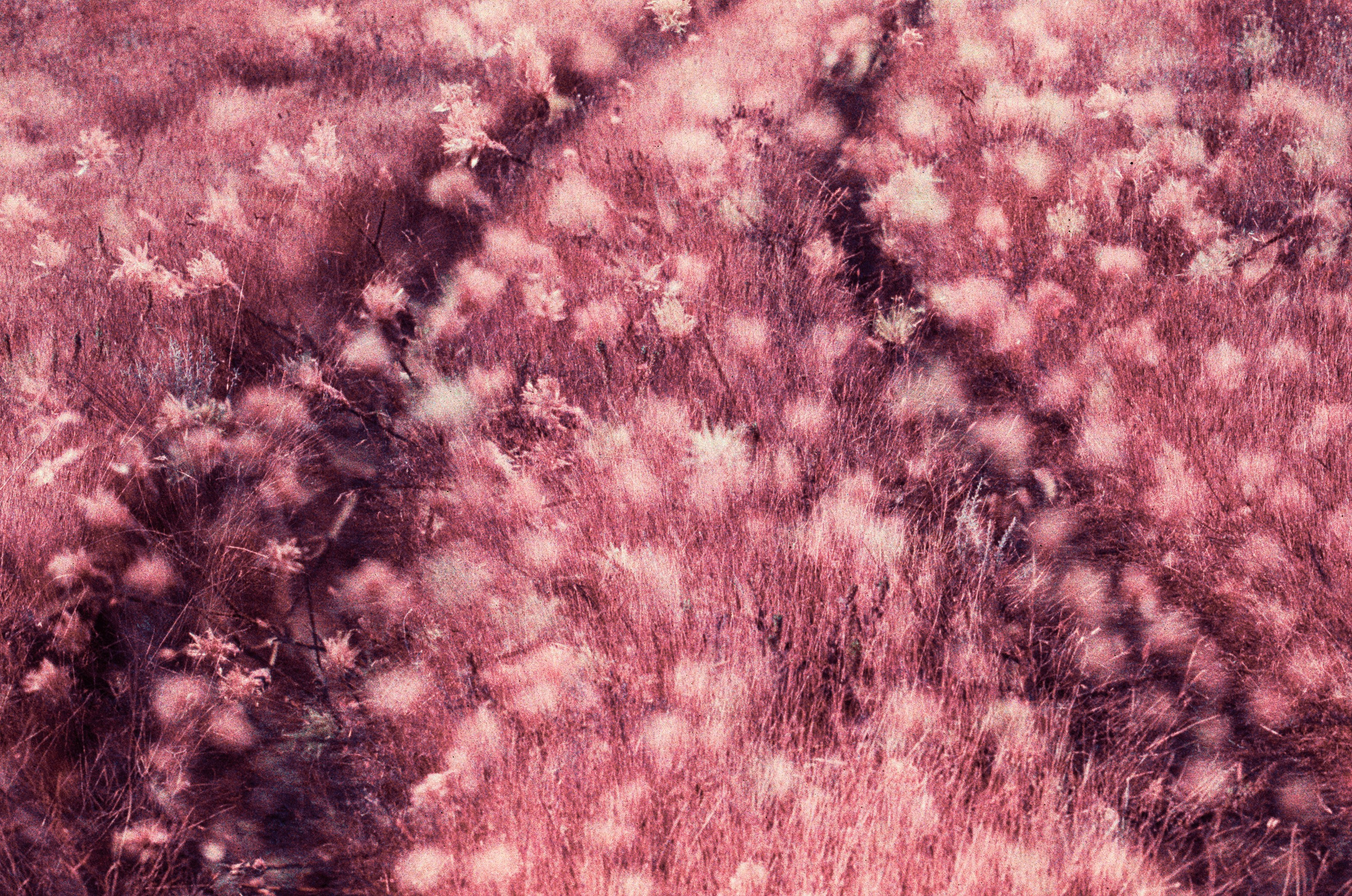 Dig it // ukraine, crimea X. EVER EXPOSED