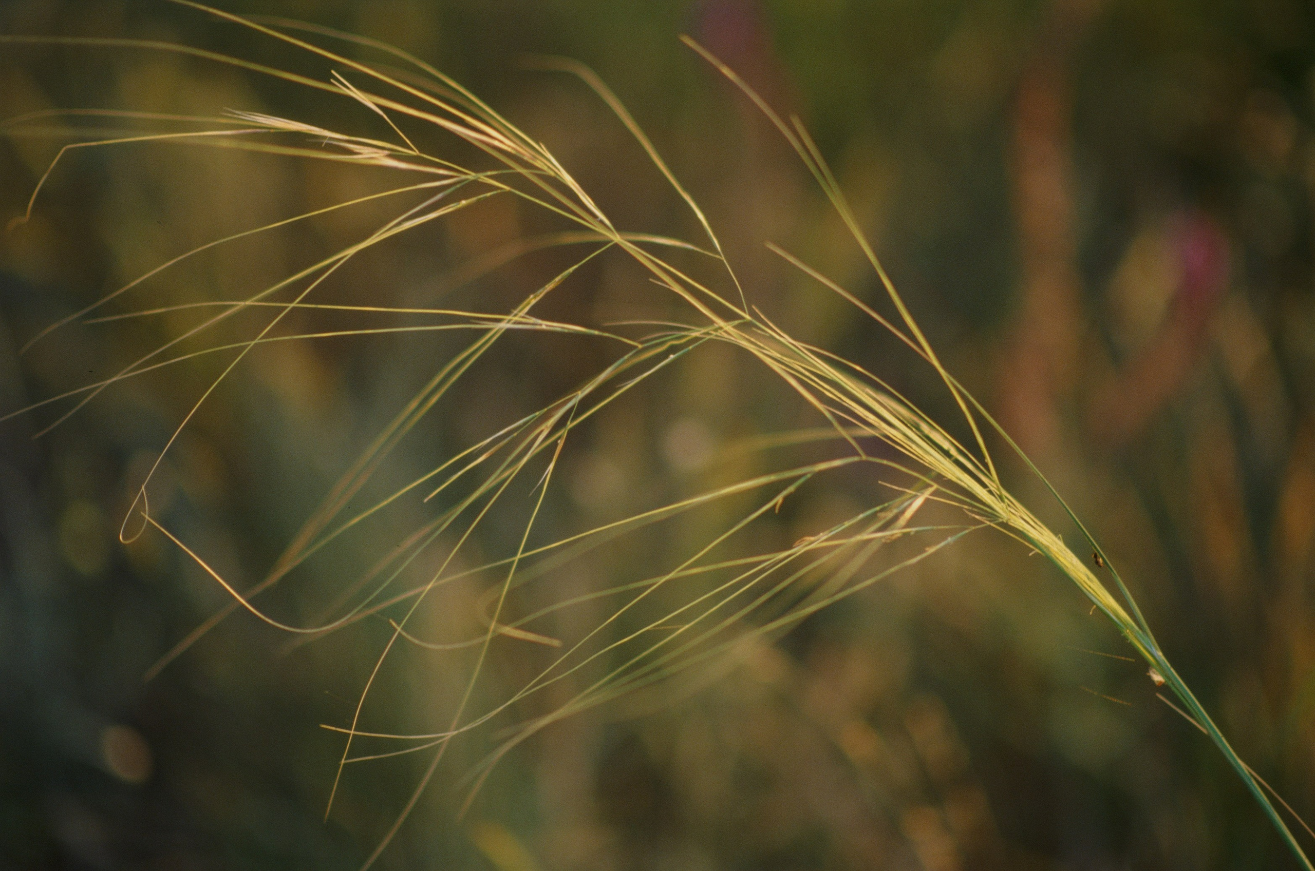 Dig it // ukraine, crimea V. EVER EXPOSED