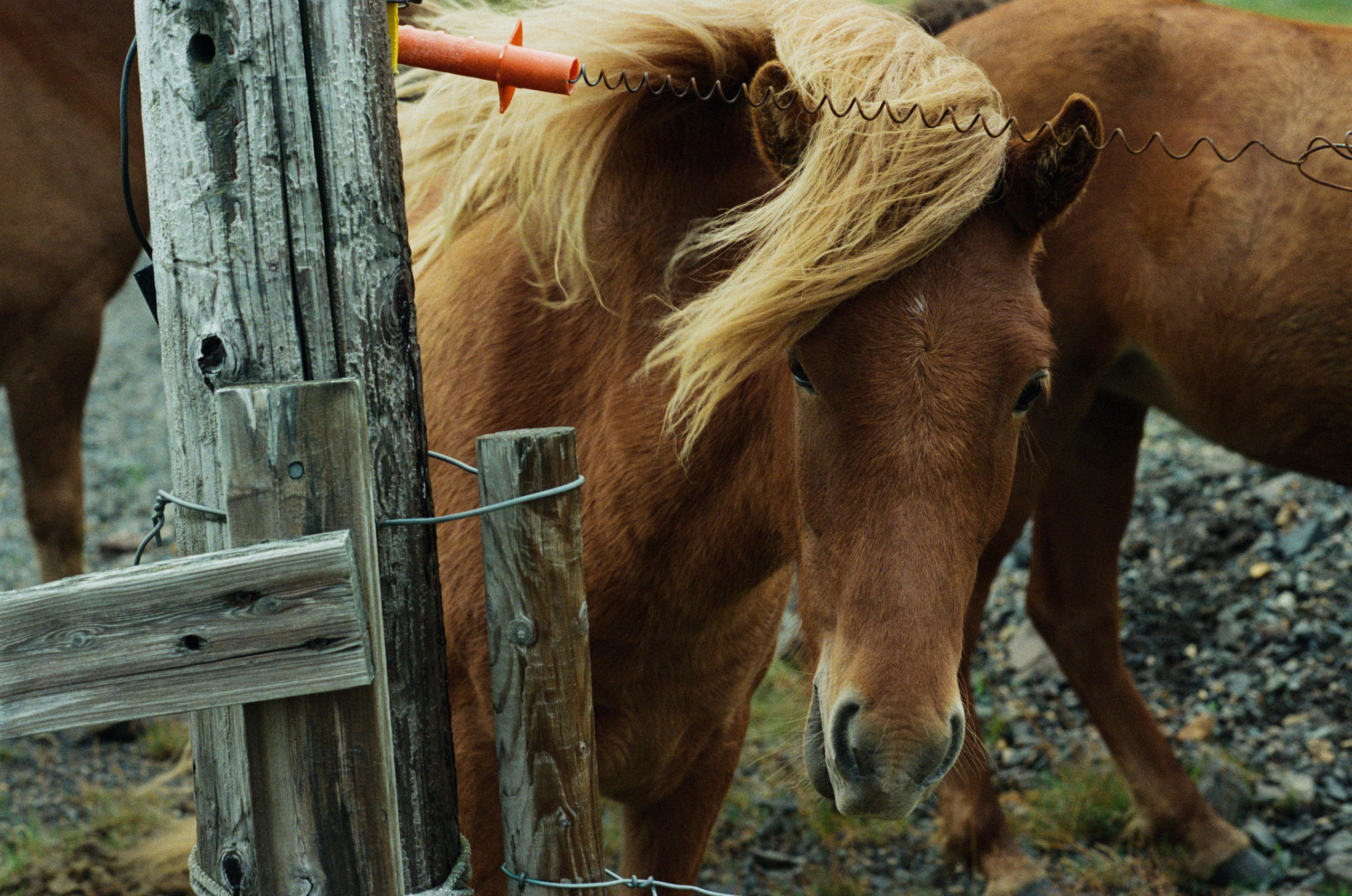 I of the storm // iceland, stokksnes. EVER EXPOSED