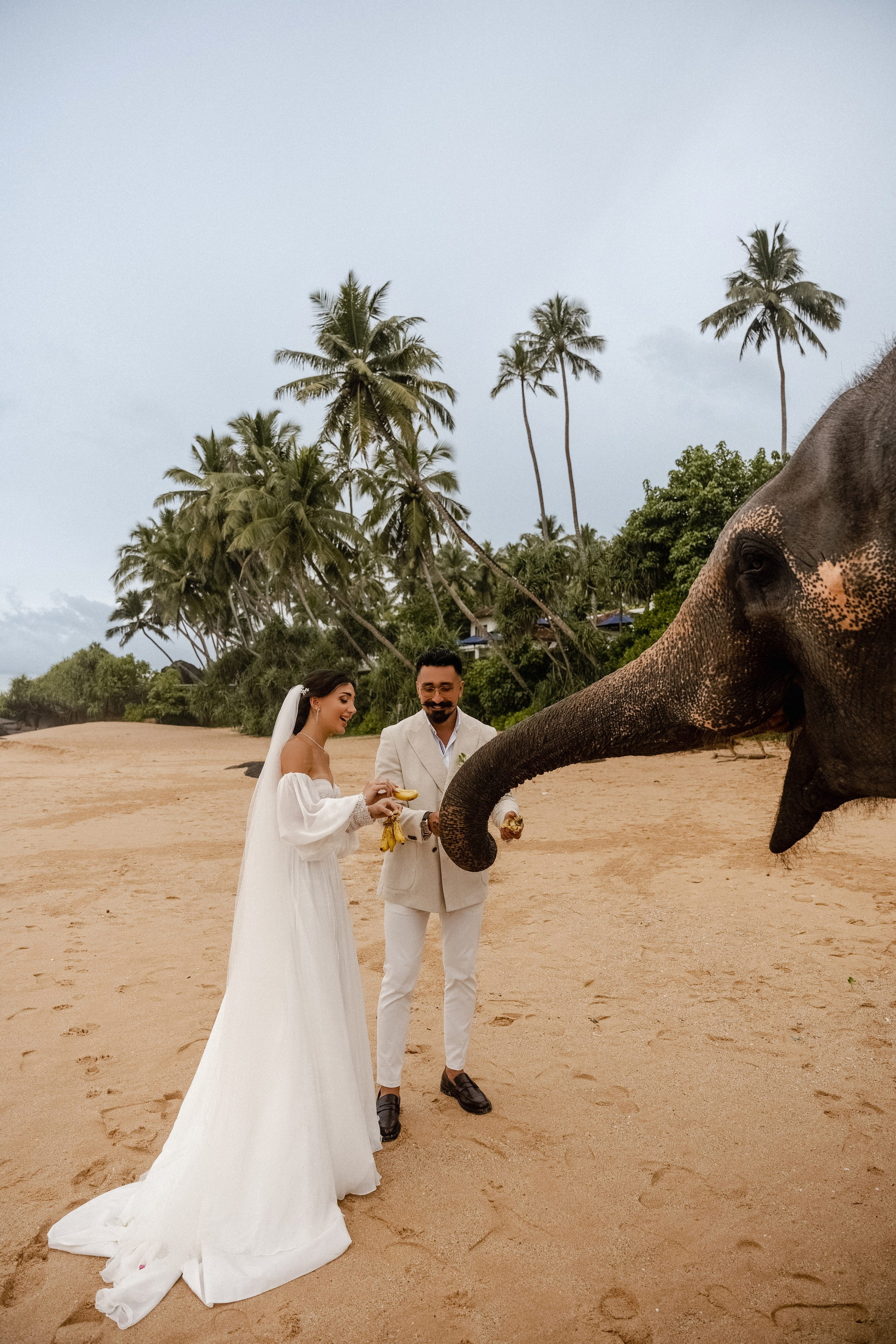 Mirza & Tamilla. Dolce_wedding