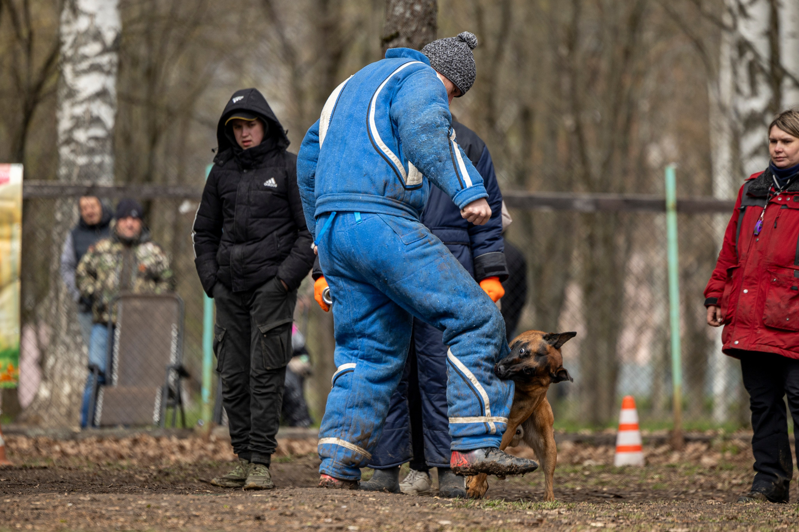 Квалификационные состязания по мондьорингу г. Вологда 11.05.24. Фотограф-анималист Анна Маринич