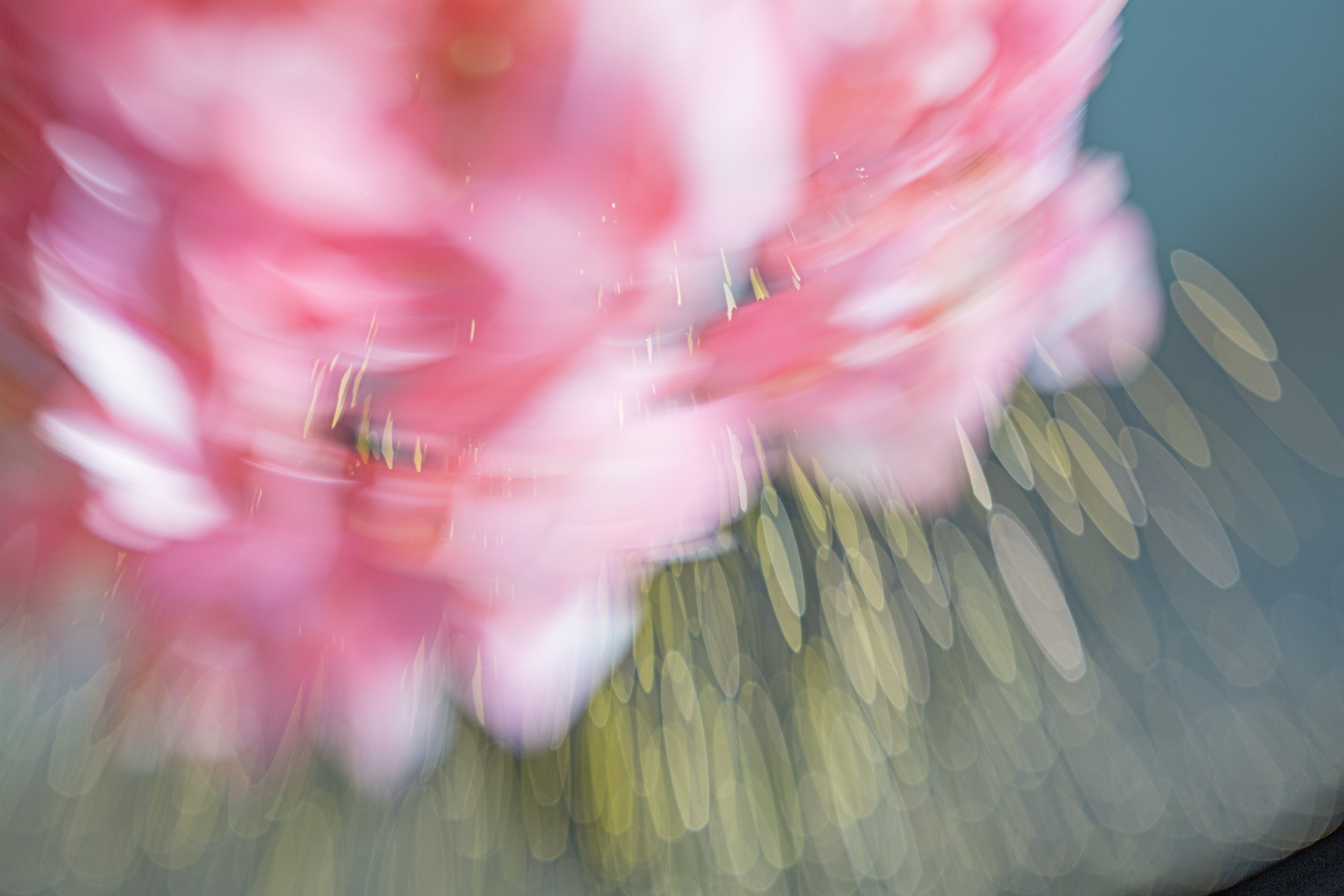 ЦВЕТА, 2025-2026. АННА ВЕРСО / ANNA VERSO | Визуальный художник / Visual artist