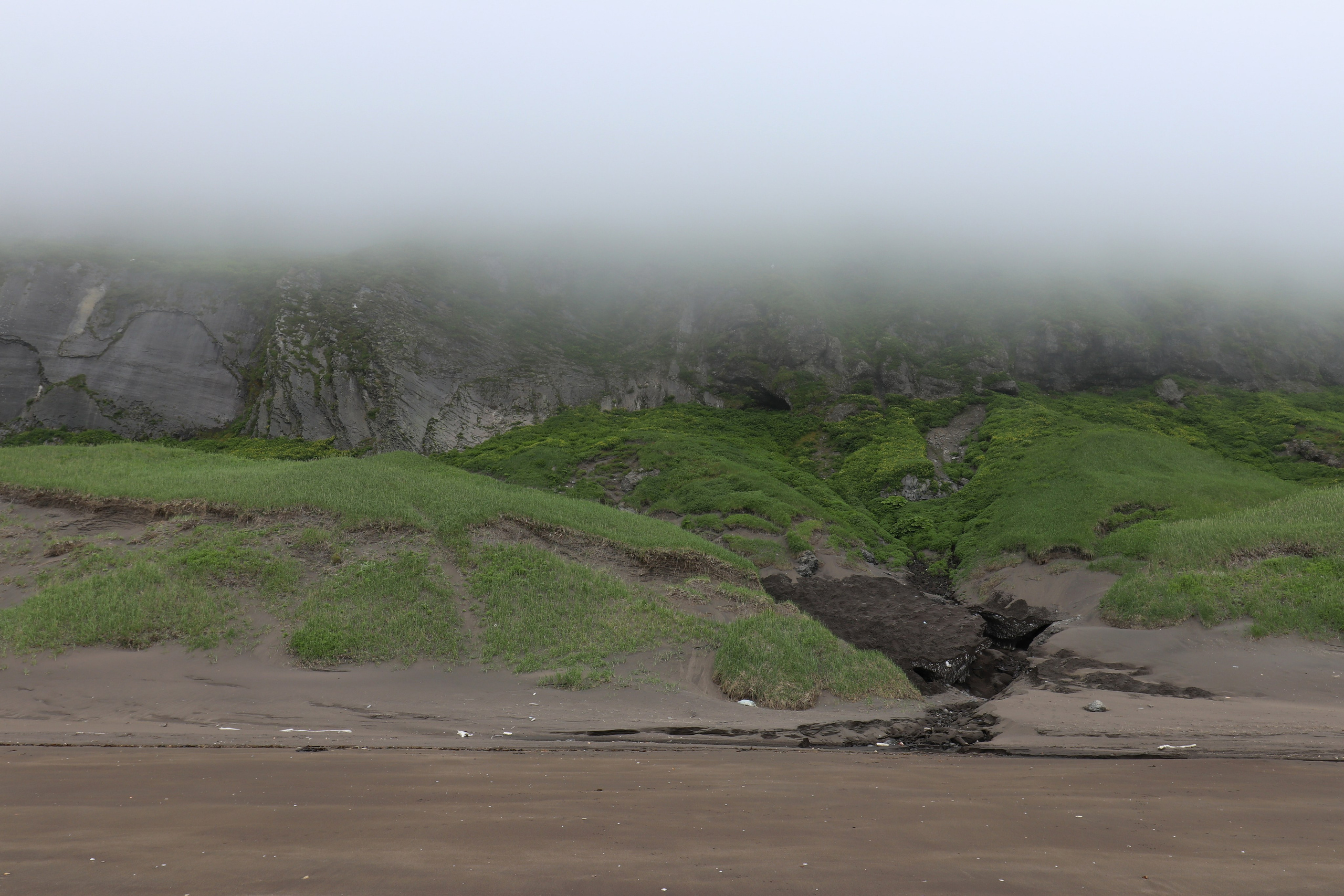 Камчатка и о. Парамушир. Июль 2024. Путешественник-фотограф из Санкт-Петербурга Татьяна Свистулина