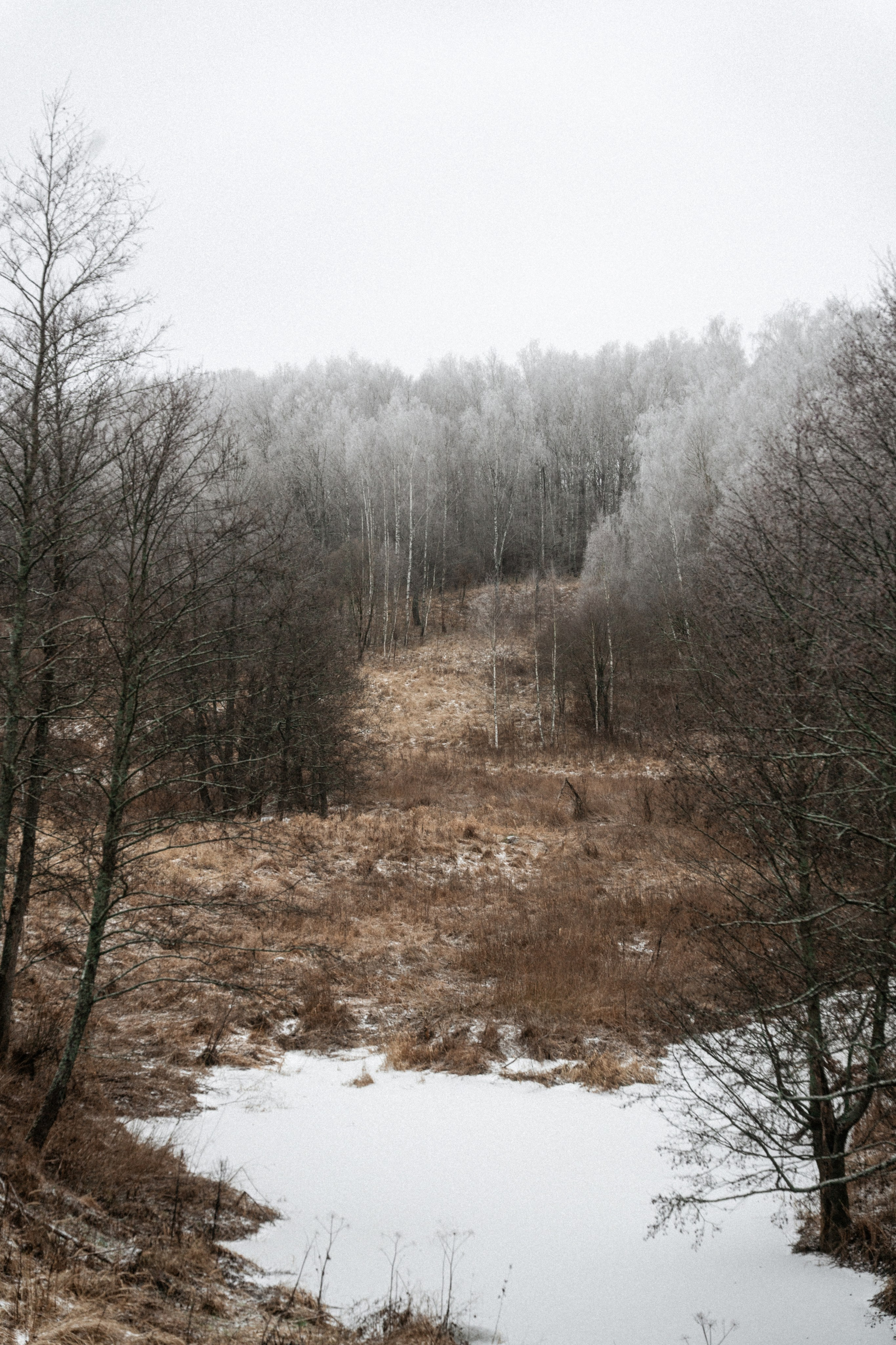 Прогулка по оврагу близ реки. Vlad Trykov