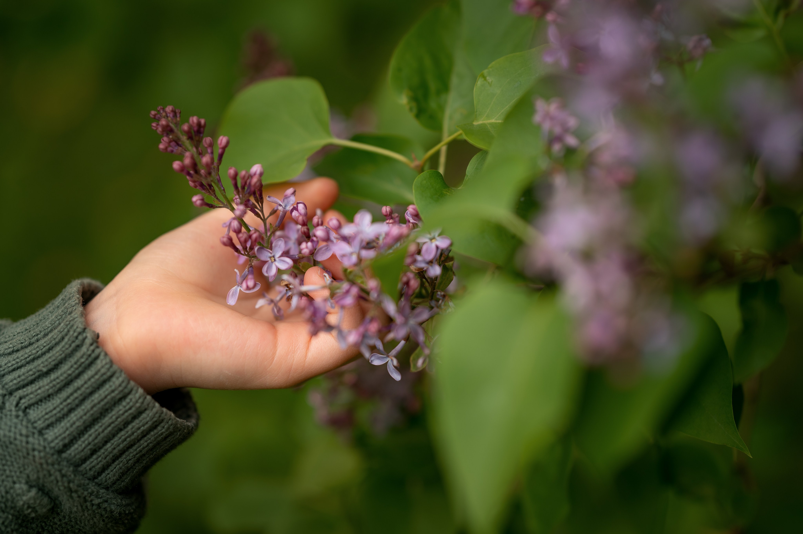 #летняя фотосессия. Фотограф новорождённых, семейный, школьный в городе Калуге Евгения