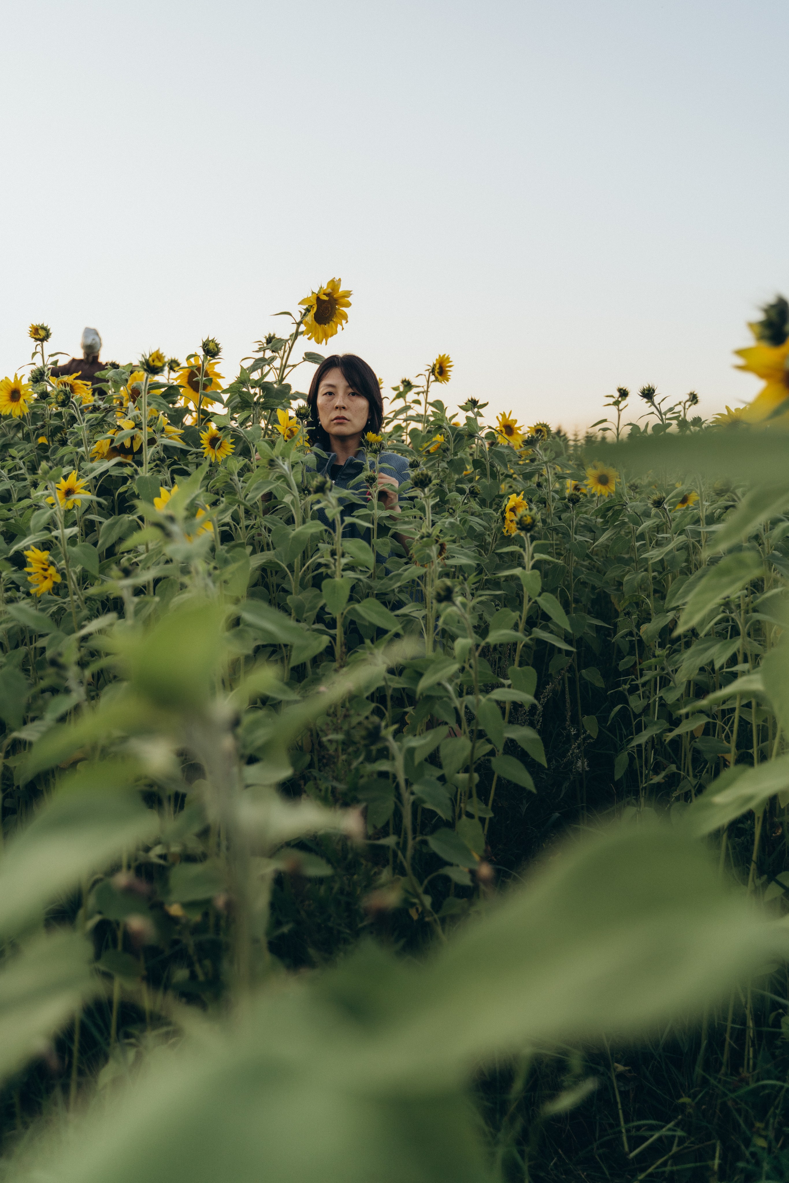 Света Ли. Главная