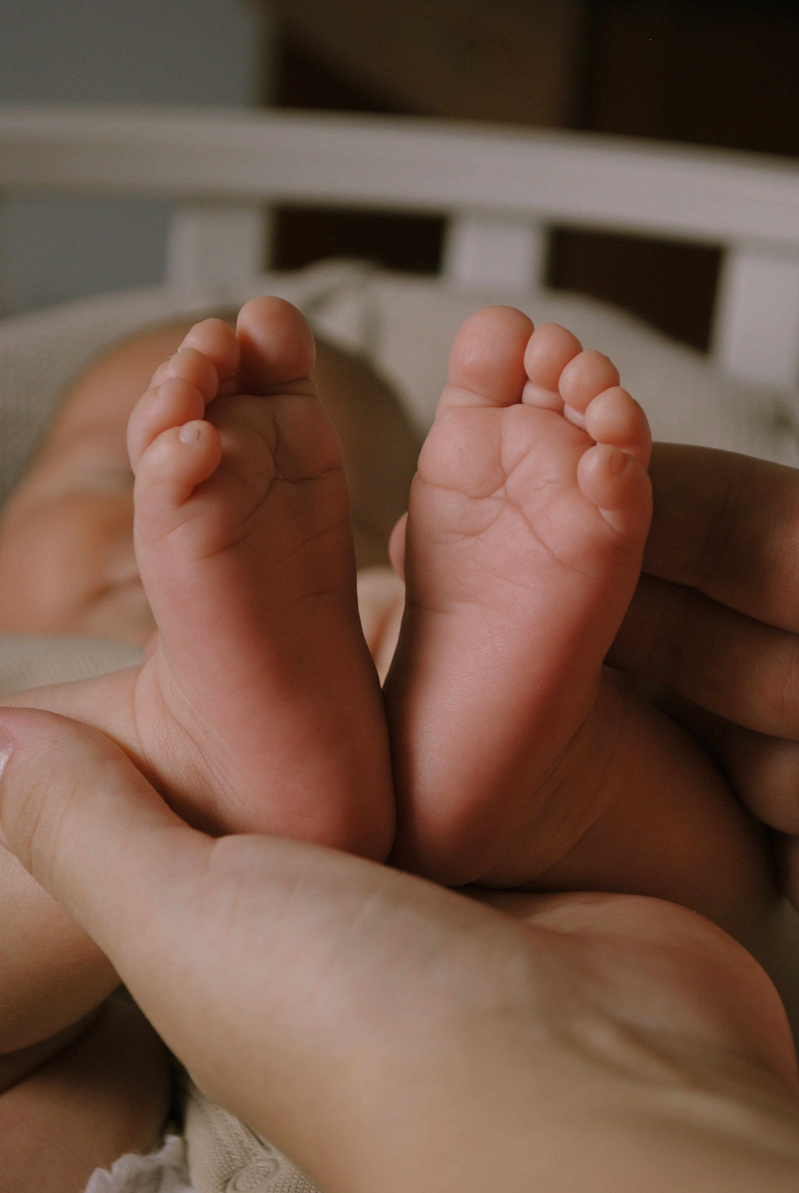 Сладкий малыш. Фотограф Мария Мусаелян