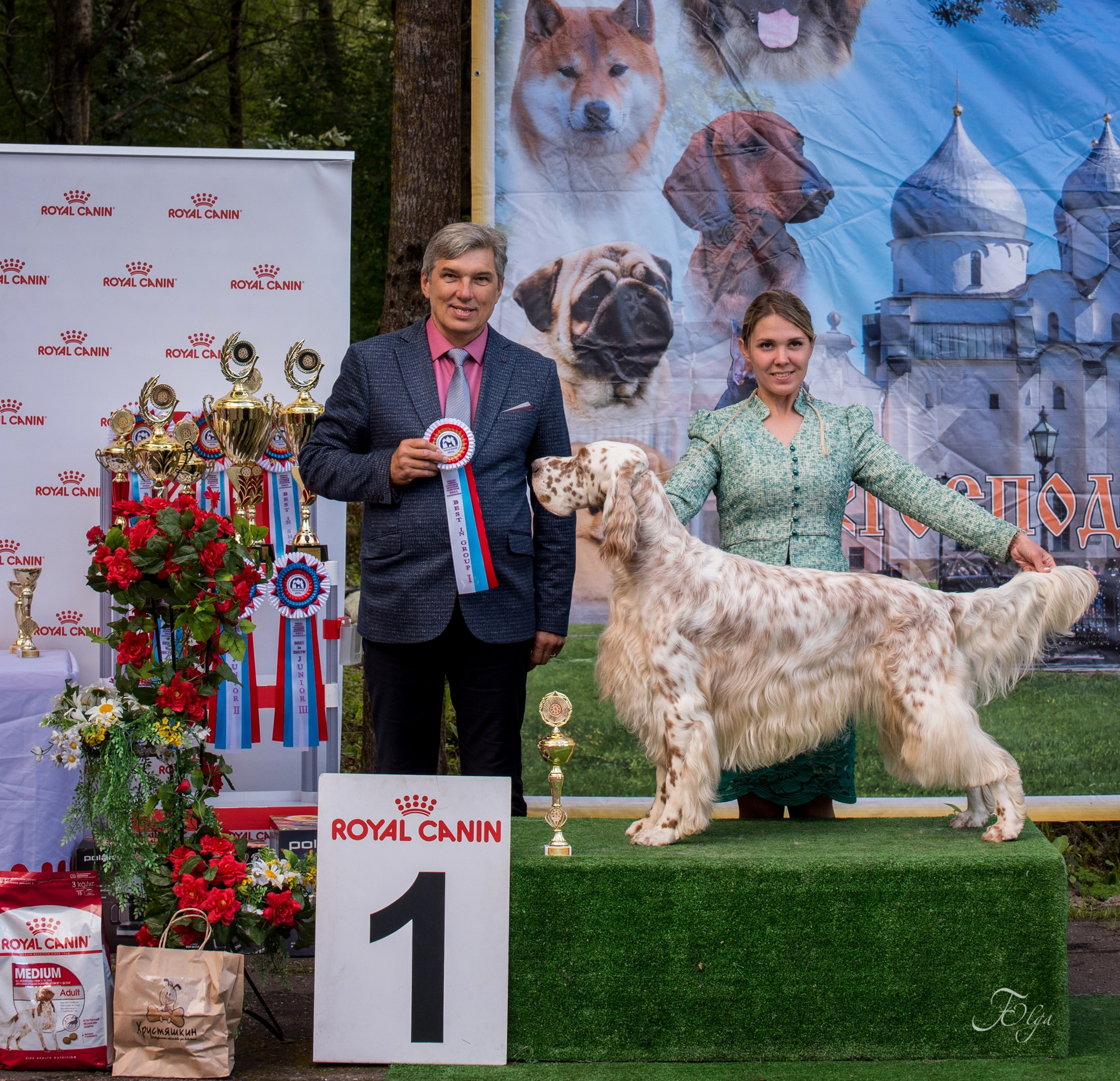 Репортажная съемка. Выставки, в ринге и за рингом. Фотограф-анималист Ольга Фомичева
