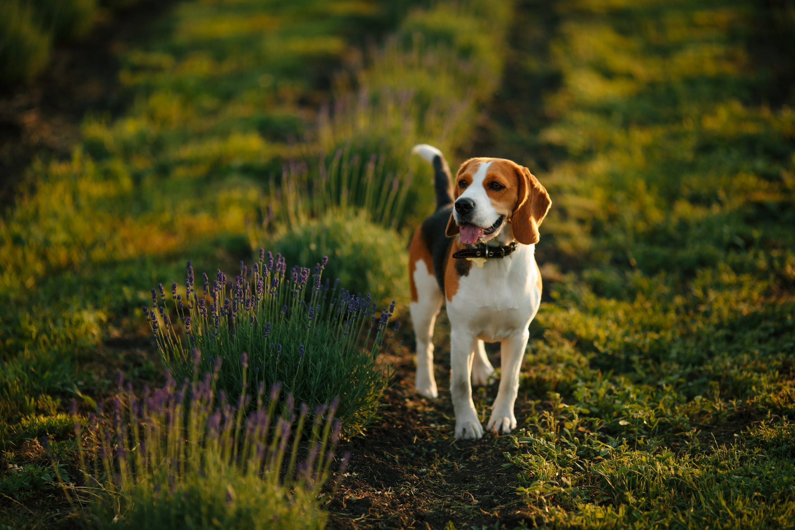 Настя. Фотограф Александра Рышкова
