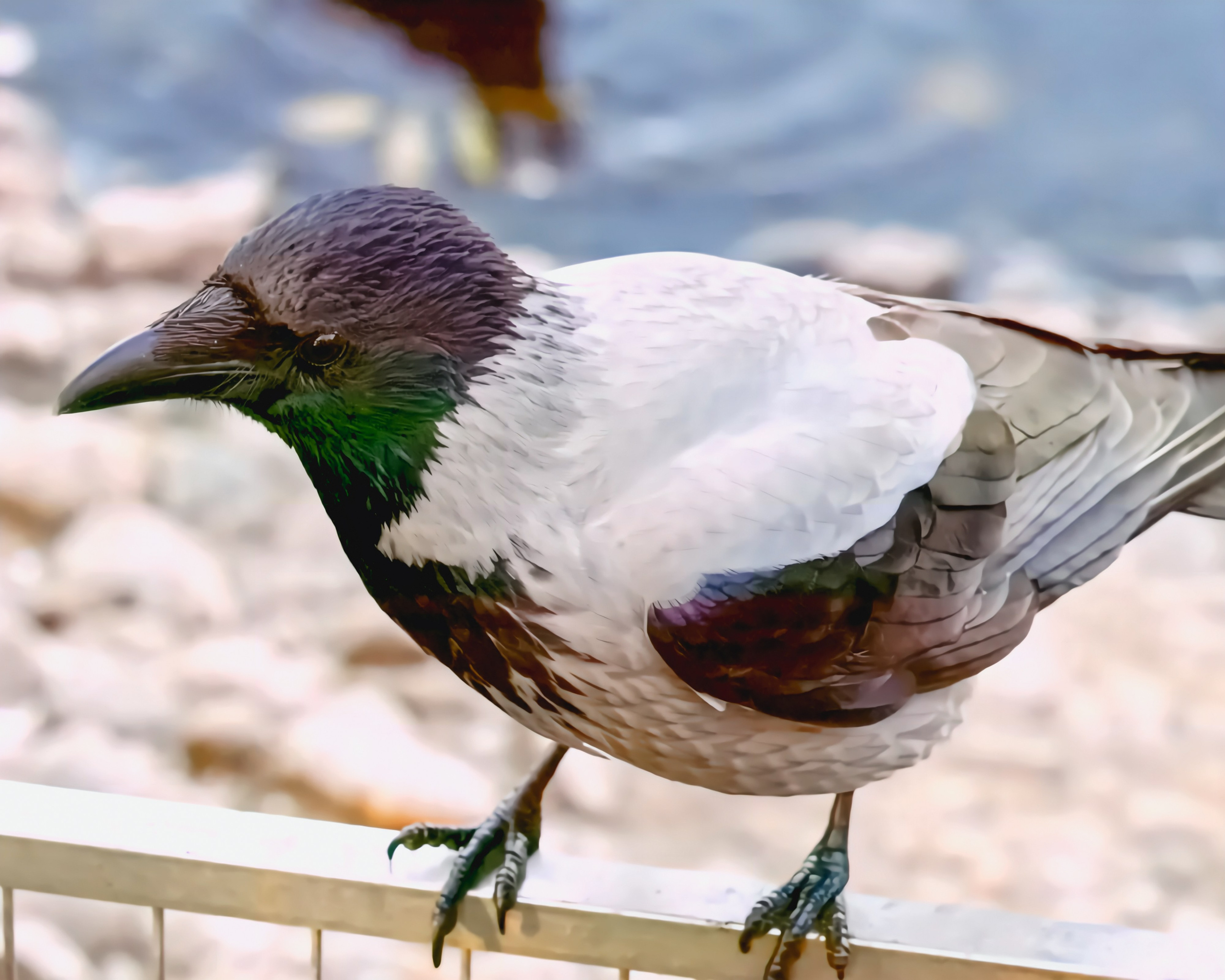 МОСКОВСКИЙ ЗООПАРК. Фотограф Владимир Роля
